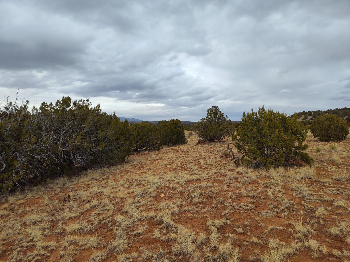 268 Old Abo Trail, Mountainair, New Mexico image 14