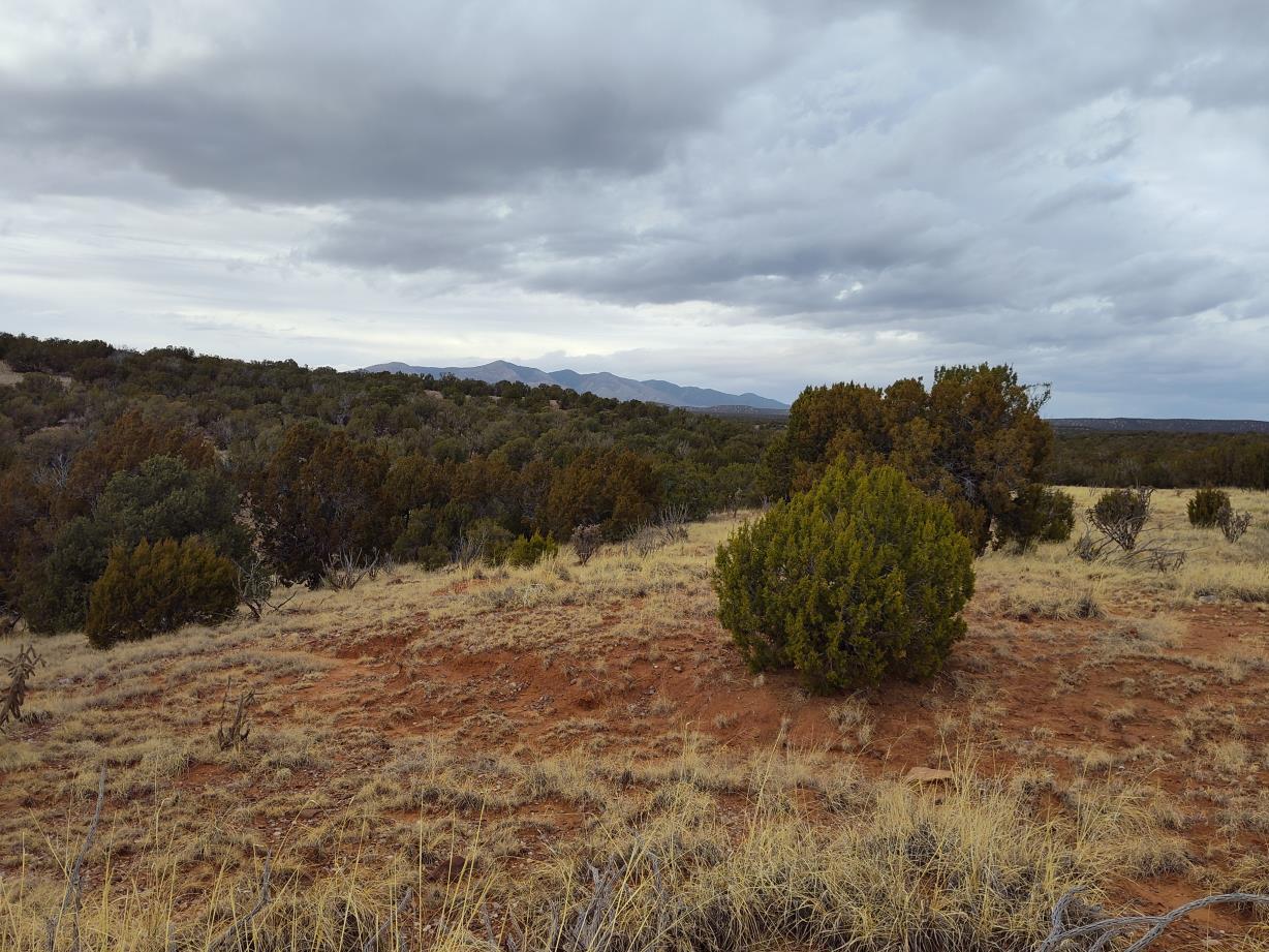 268 Old Abo Trail, Mountainair, New Mexico image 15