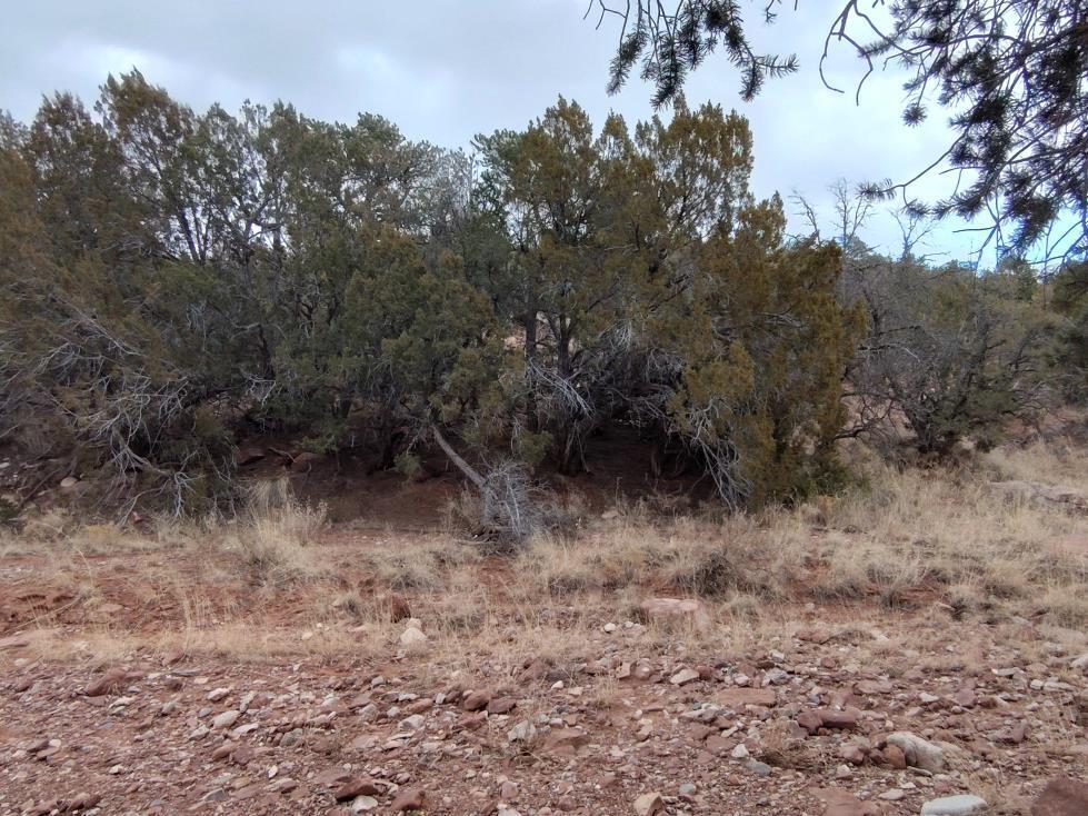 268 Old Abo Trail, Mountainair, New Mexico image 23