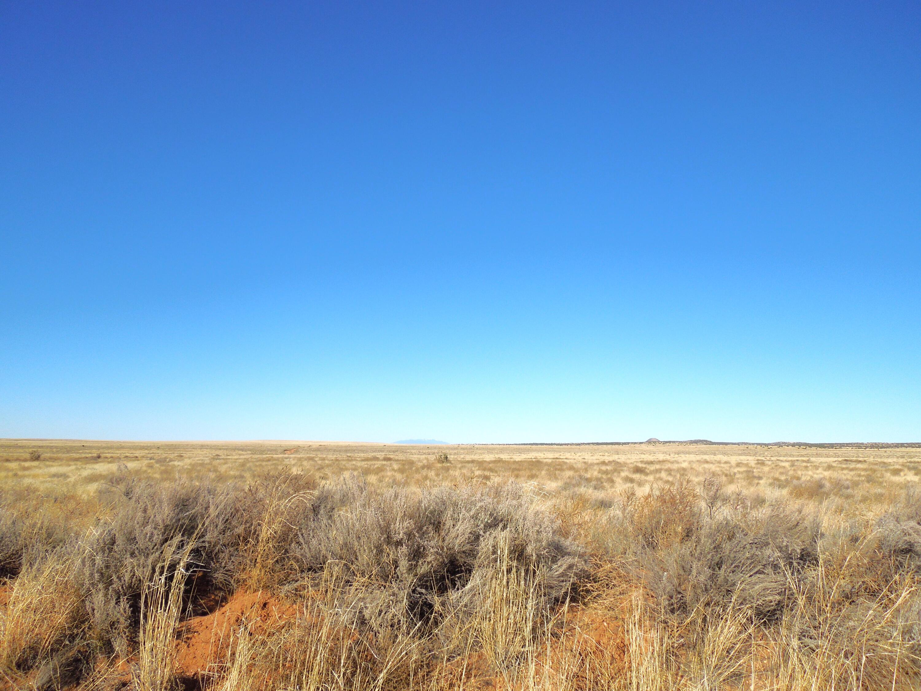 Lot 20-22 Block 8 Tract 12, Estancia, New Mexico image 6