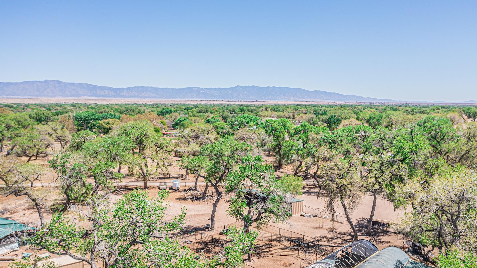 Wildwood Lane, Peralta, New Mexico image 30