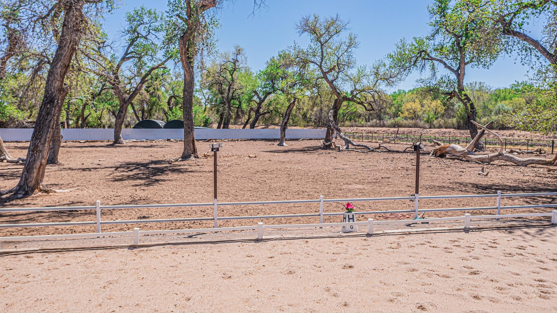 Wildwood Lane, Peralta, New Mexico image 22