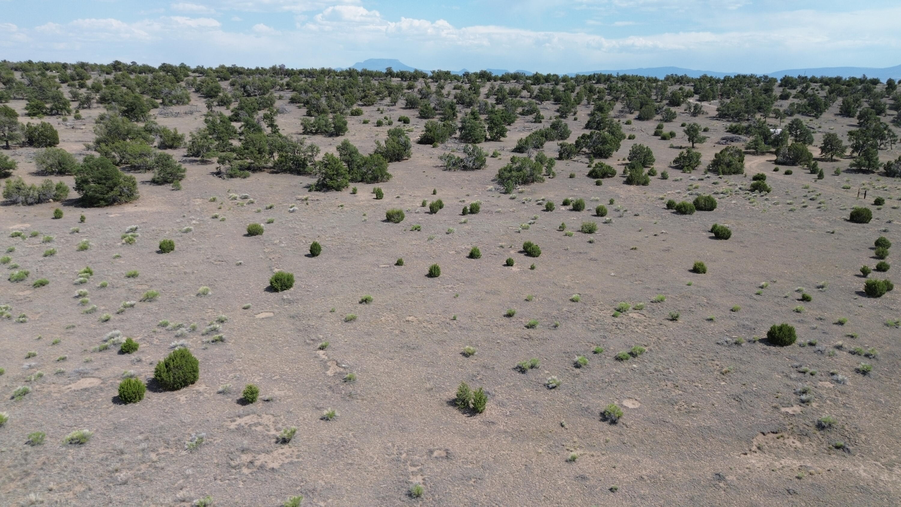 LOT 103 TEE PEE TRL