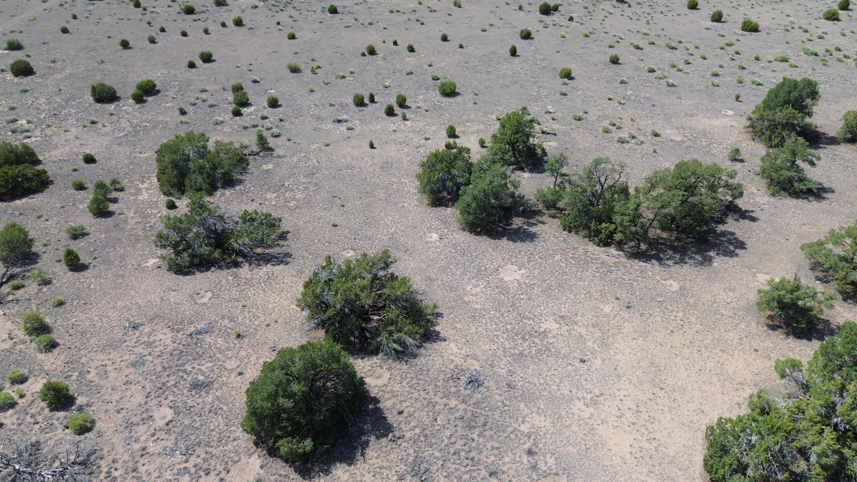 LOT 103 TEE PEE TRL