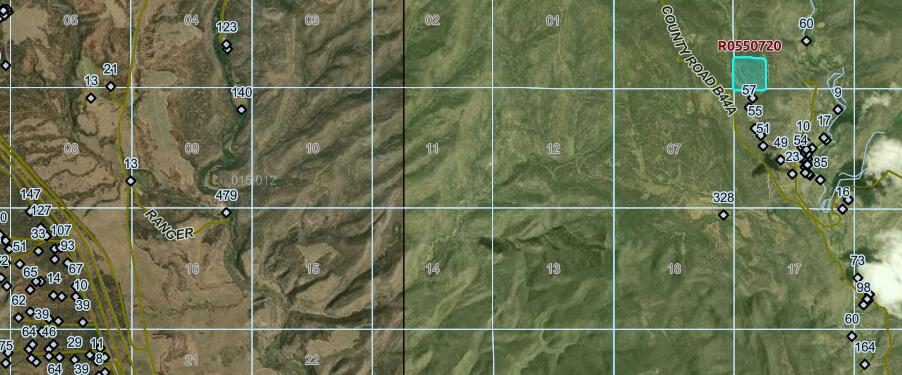 Pecos NM Forest 83 - 40 Acres