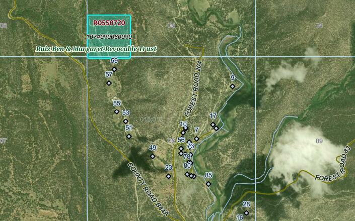 Pecos NM Forest 83 - 40 Acres