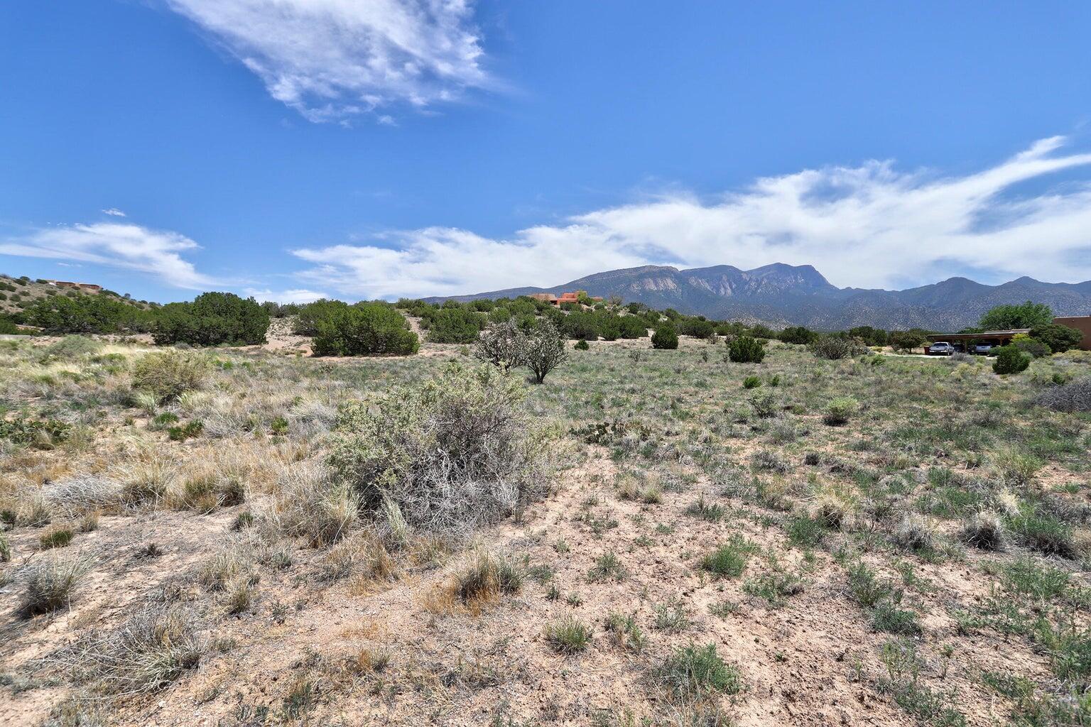 22 Calle Del Sol, Placitas, New Mexico image 6