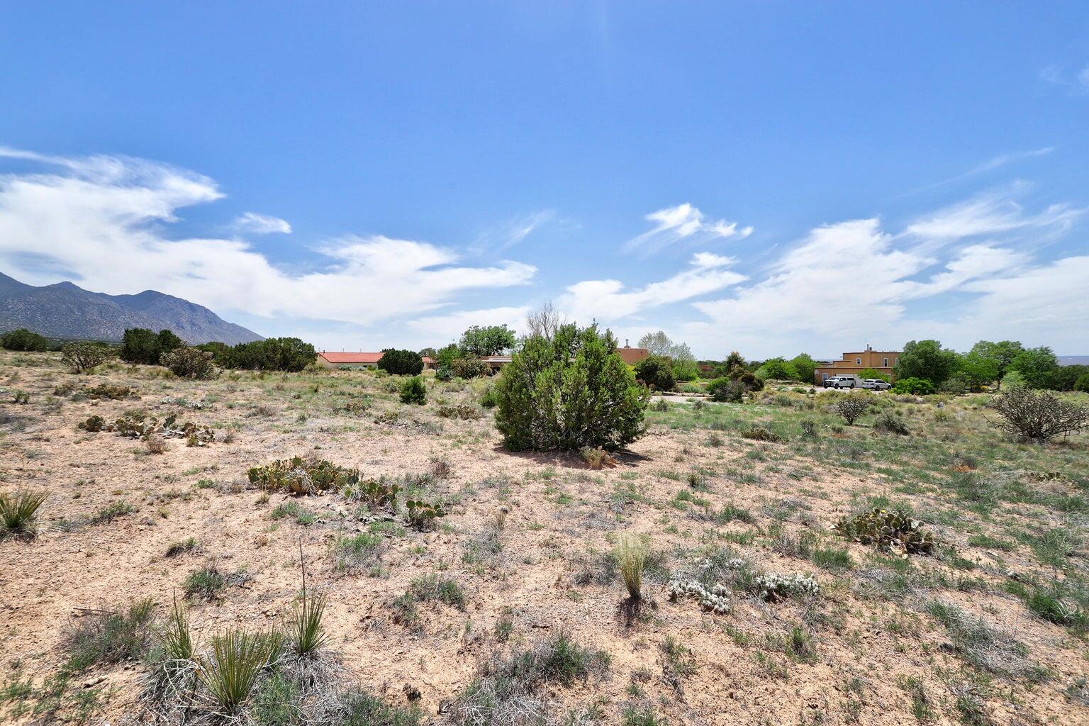 22 Calle Del Sol, Placitas, New Mexico image 5