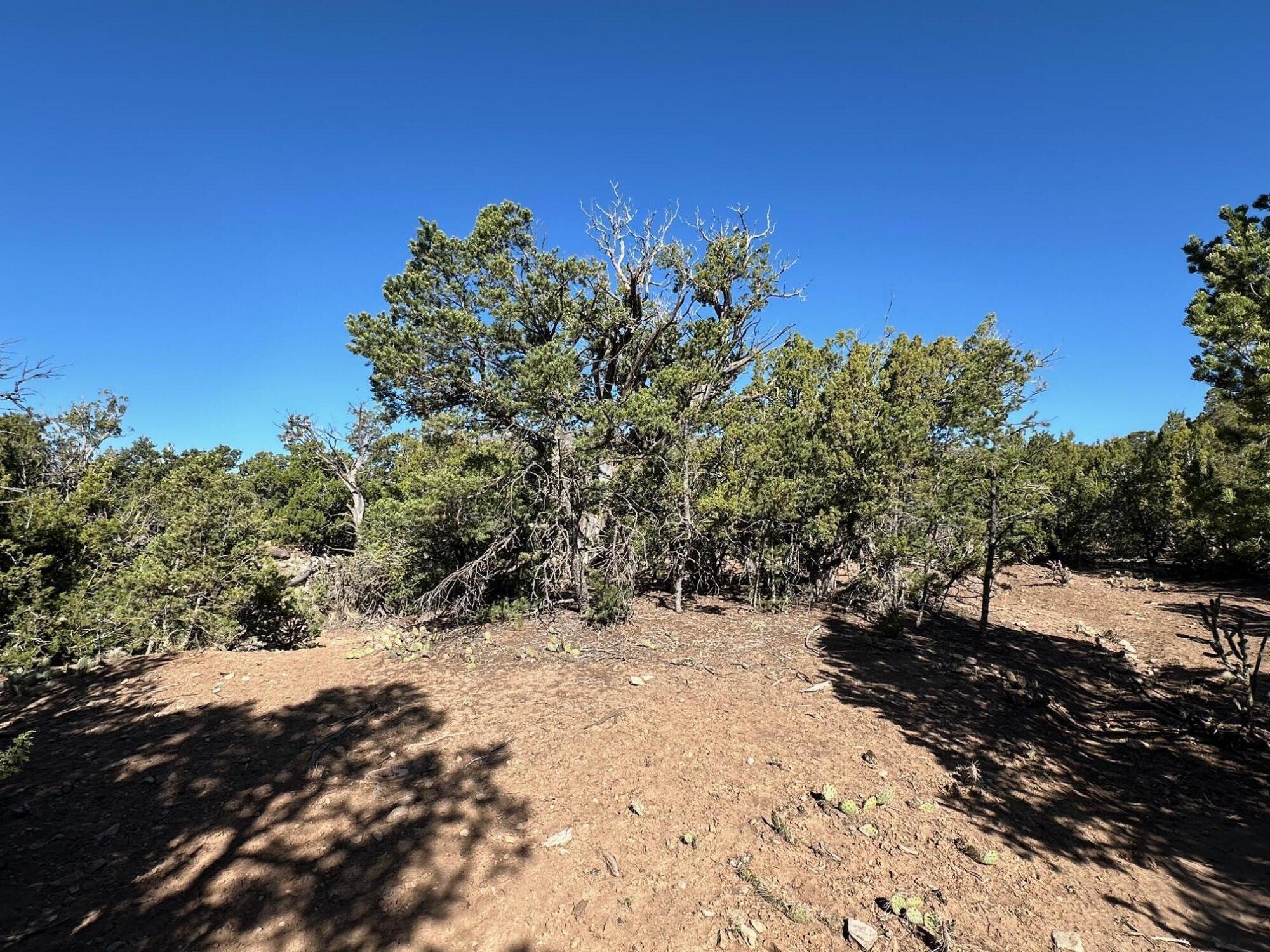 5 Canon De Manantial, Edgewood, New Mexico image 9