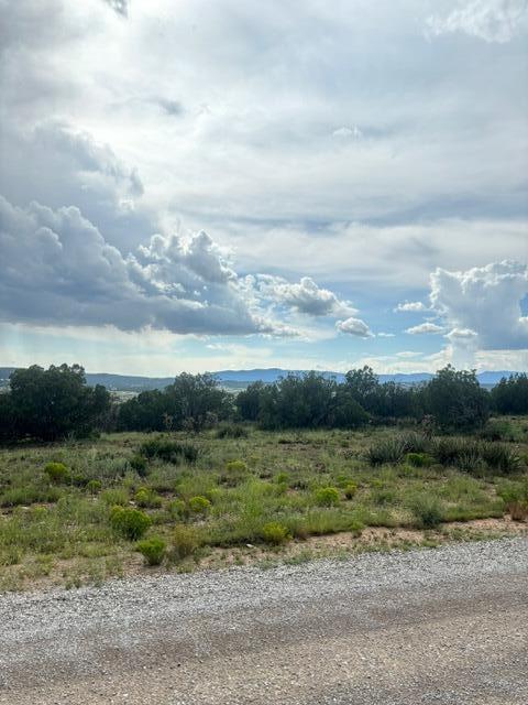 40 Snowflake Trail, Edgewood, New Mexico image 9