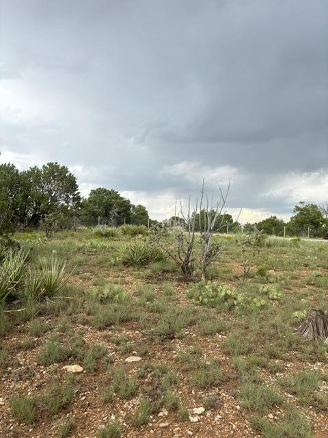 40 Snowflake Trail, Edgewood, New Mexico image 3