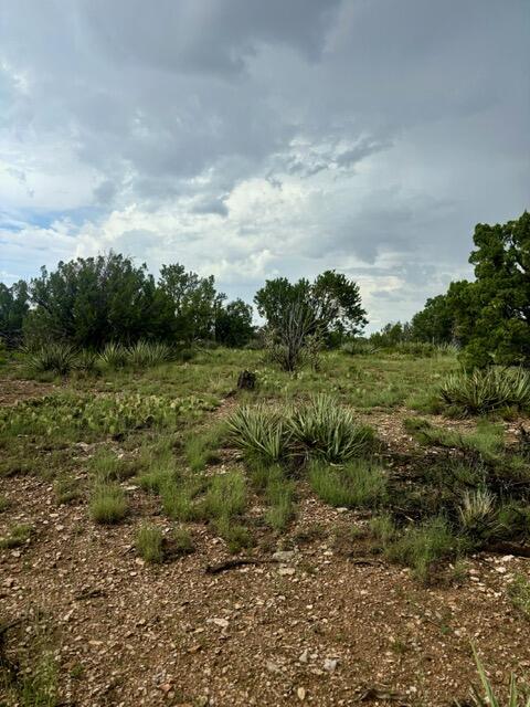 40 Snowflake Trail, Edgewood, New Mexico image 4