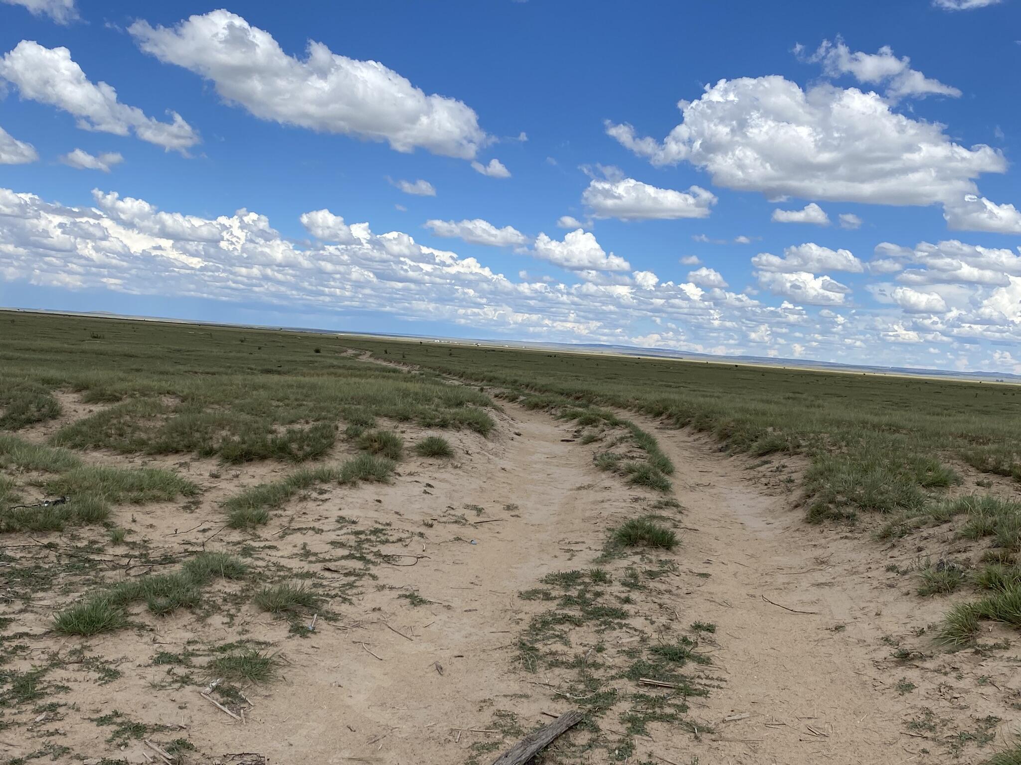 E Howell Road, Estancia, New Mexico image 12