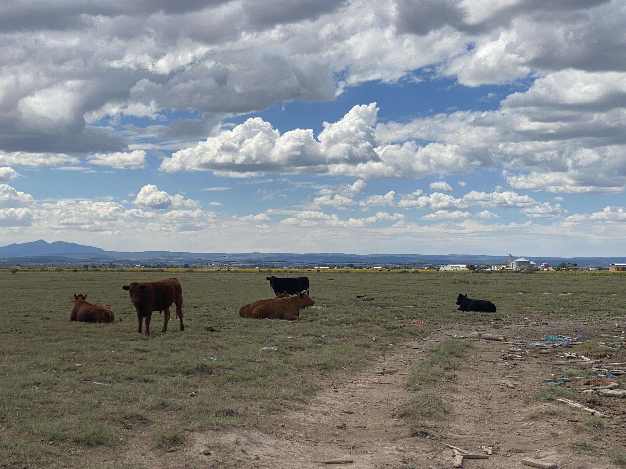 E Howell Road, Estancia, New Mexico image 7