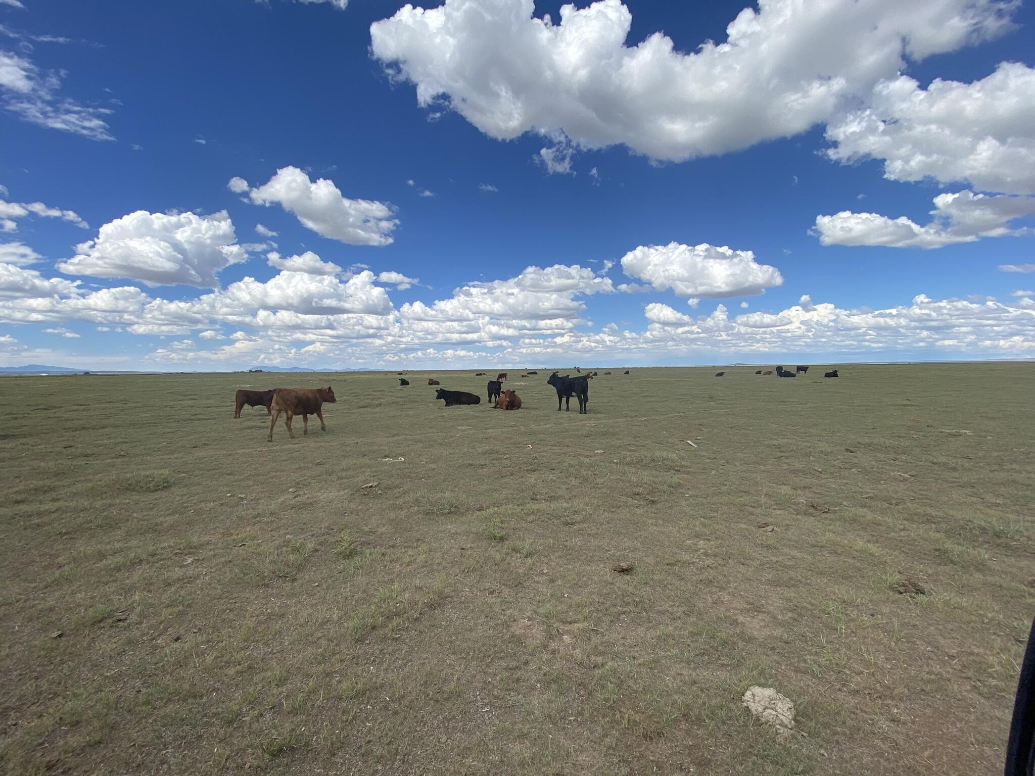 E Howell Road, Estancia, New Mexico image 11