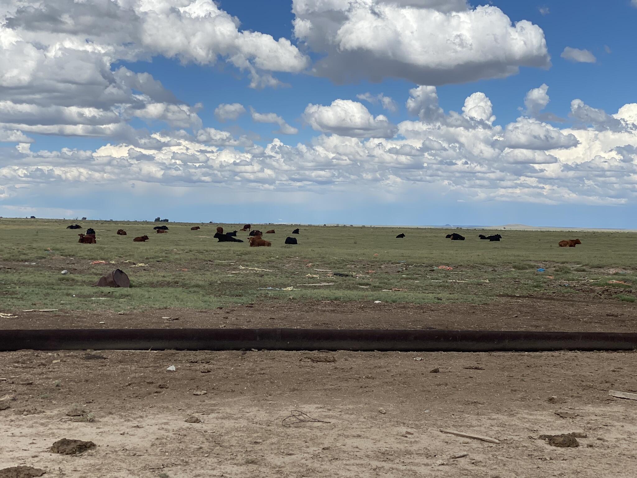 E Howell Road, Estancia, New Mexico image 9