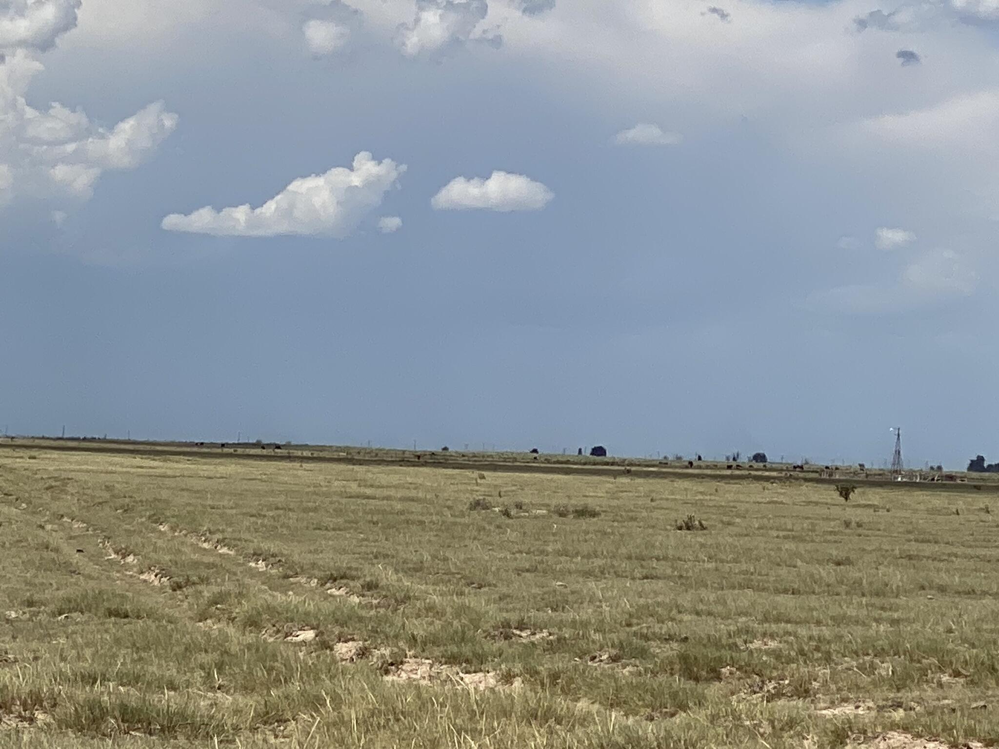 E Howell Road, Estancia, New Mexico image 1