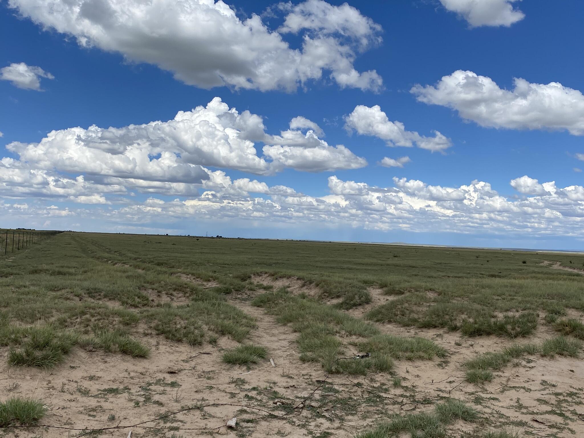 E Howell Road, Estancia, New Mexico image 3