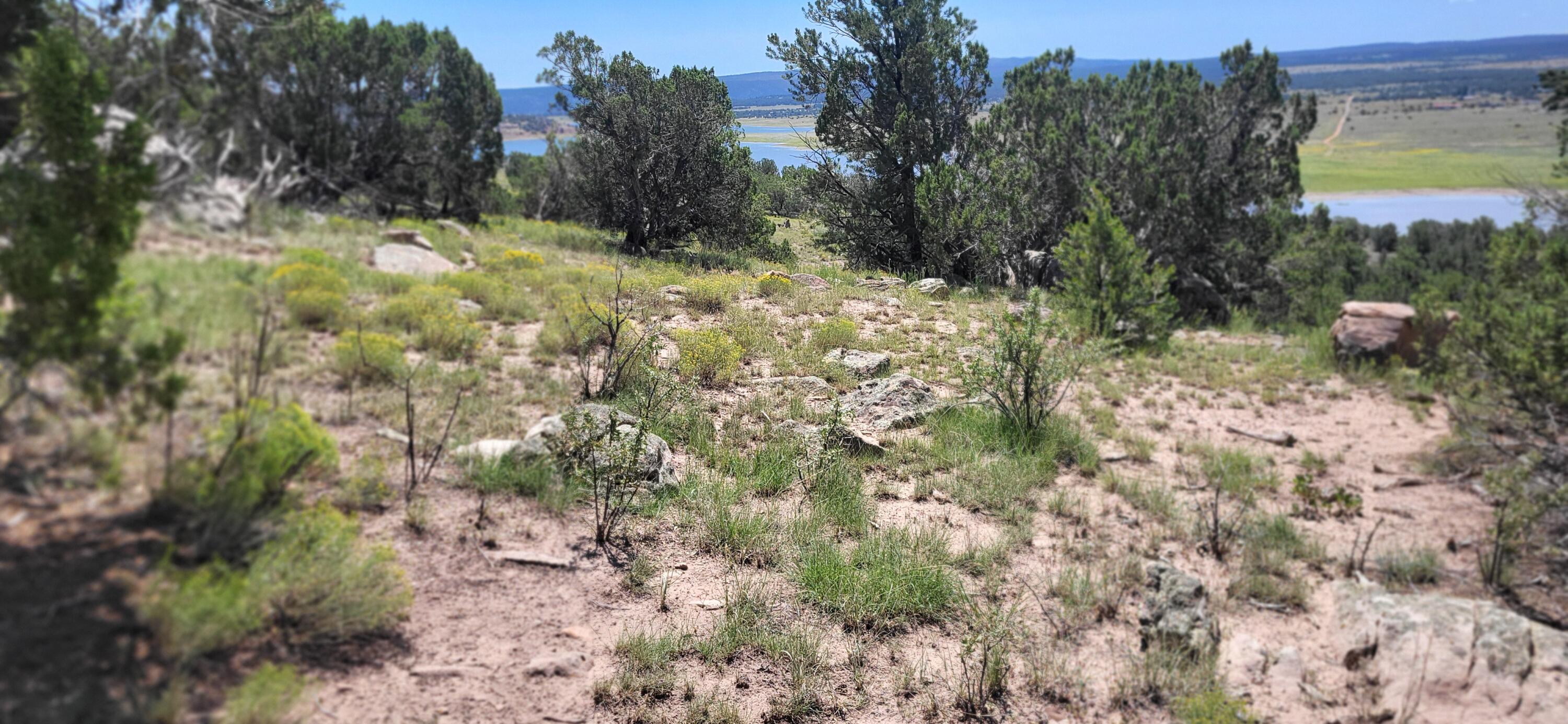 Lot 33 Seewald Estates, Thoreau, New Mexico image 5