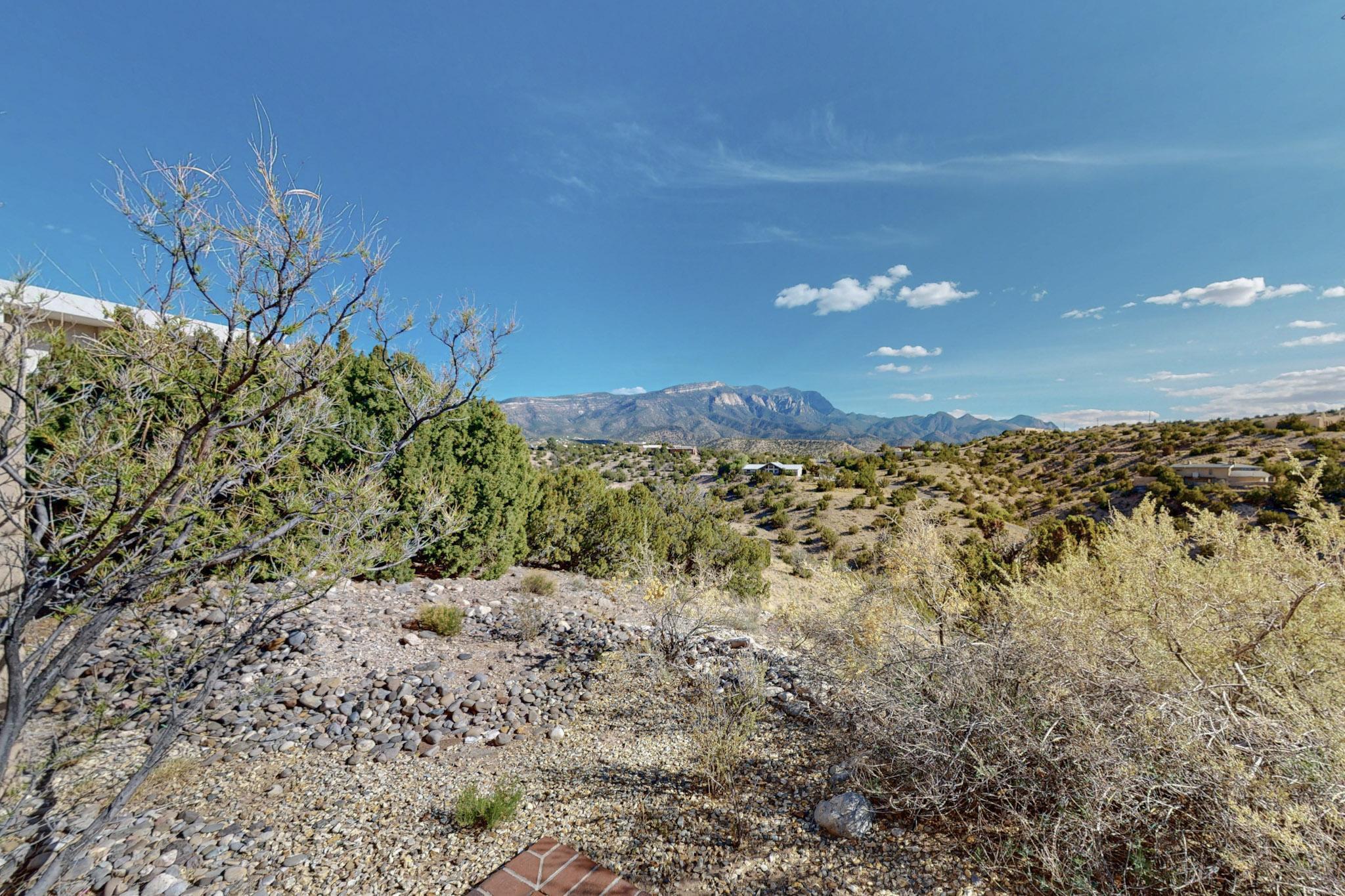 14 Spruce Lane, Placitas, New Mexico image 19