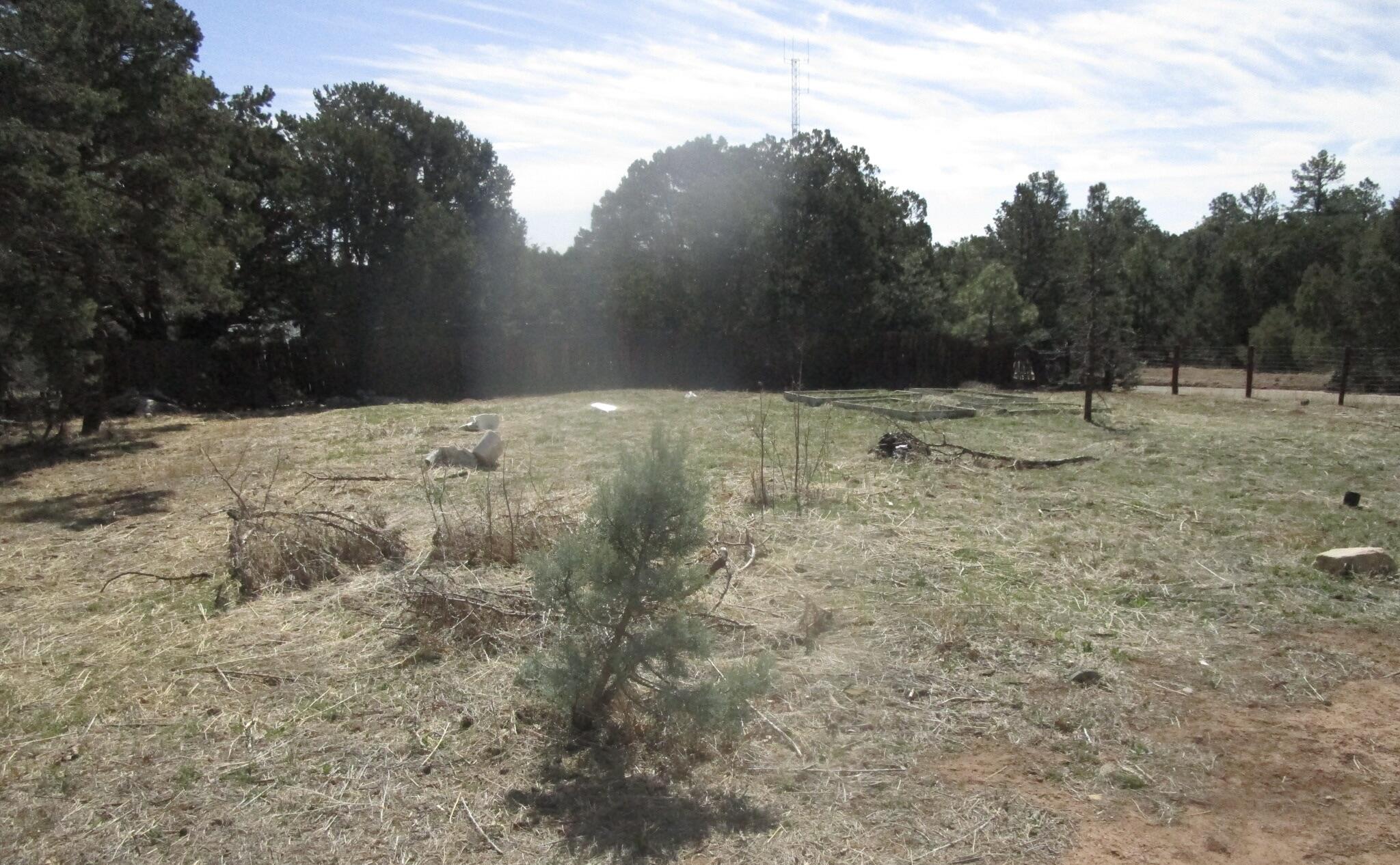 22 Mallard Drive, Tijeras, New Mexico image 10
