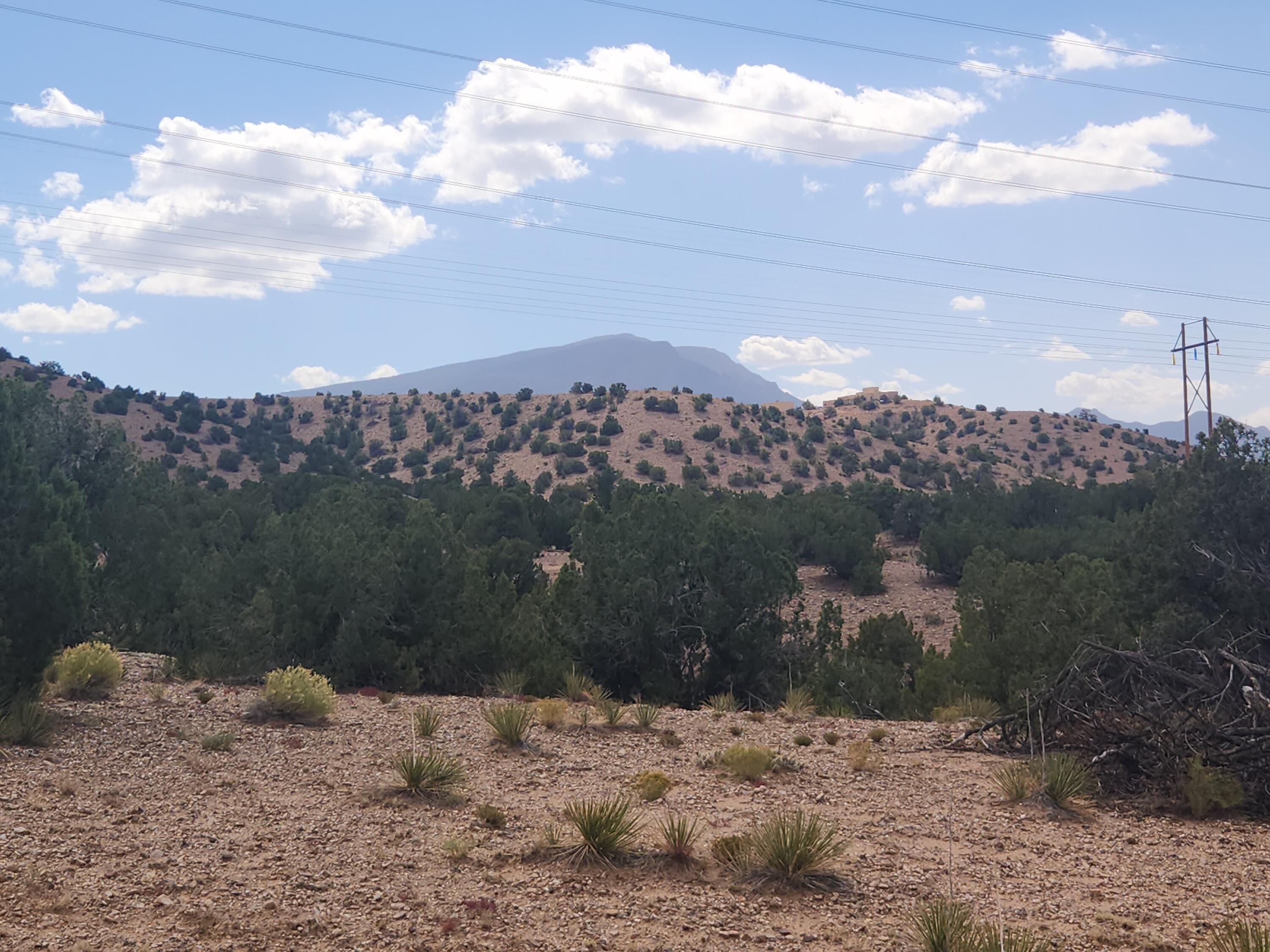 Palomar Road - Lot 16, Placitas, New Mexico image 24