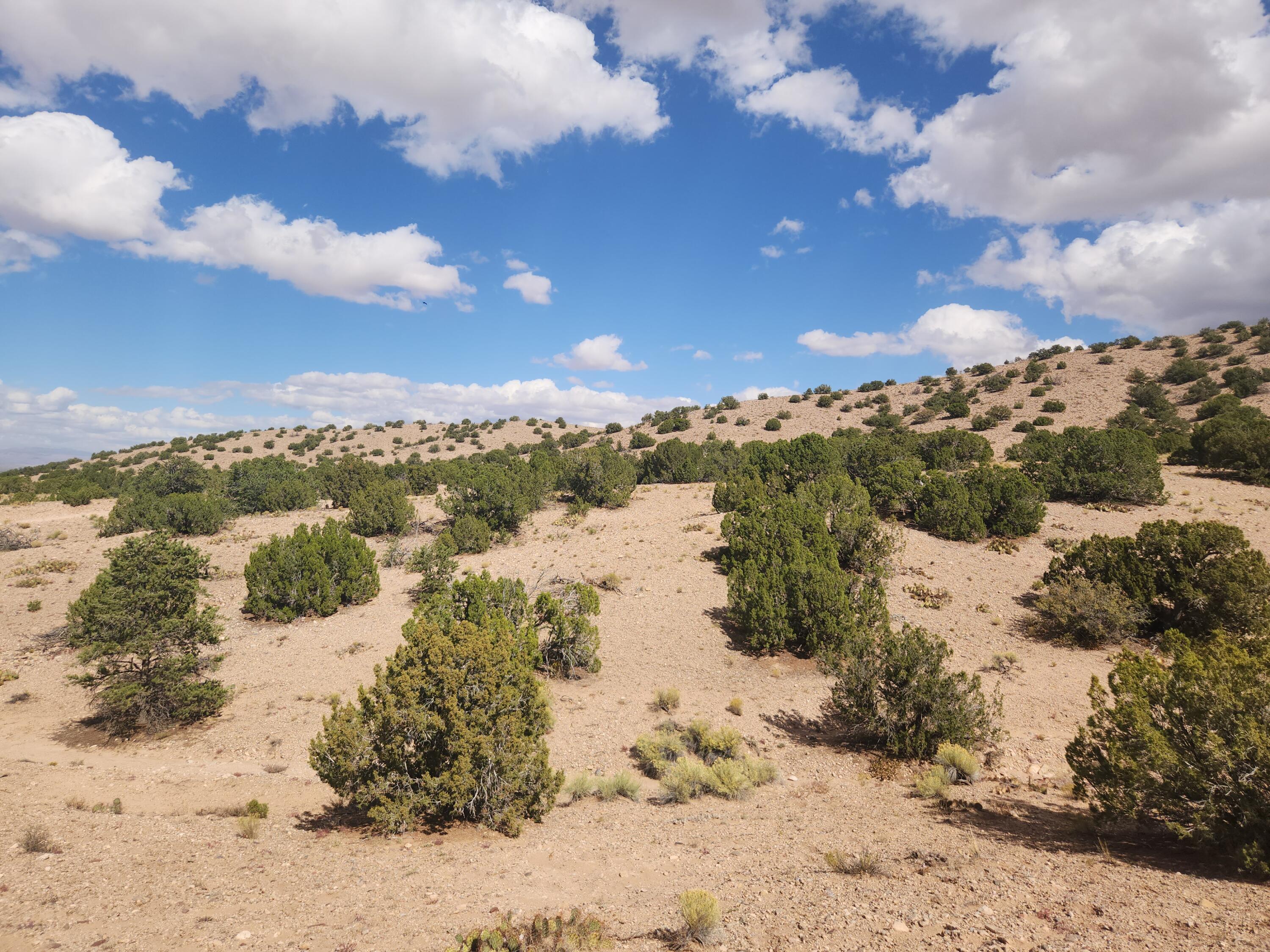 Palomar Road - Lot 16, Placitas, New Mexico image 14