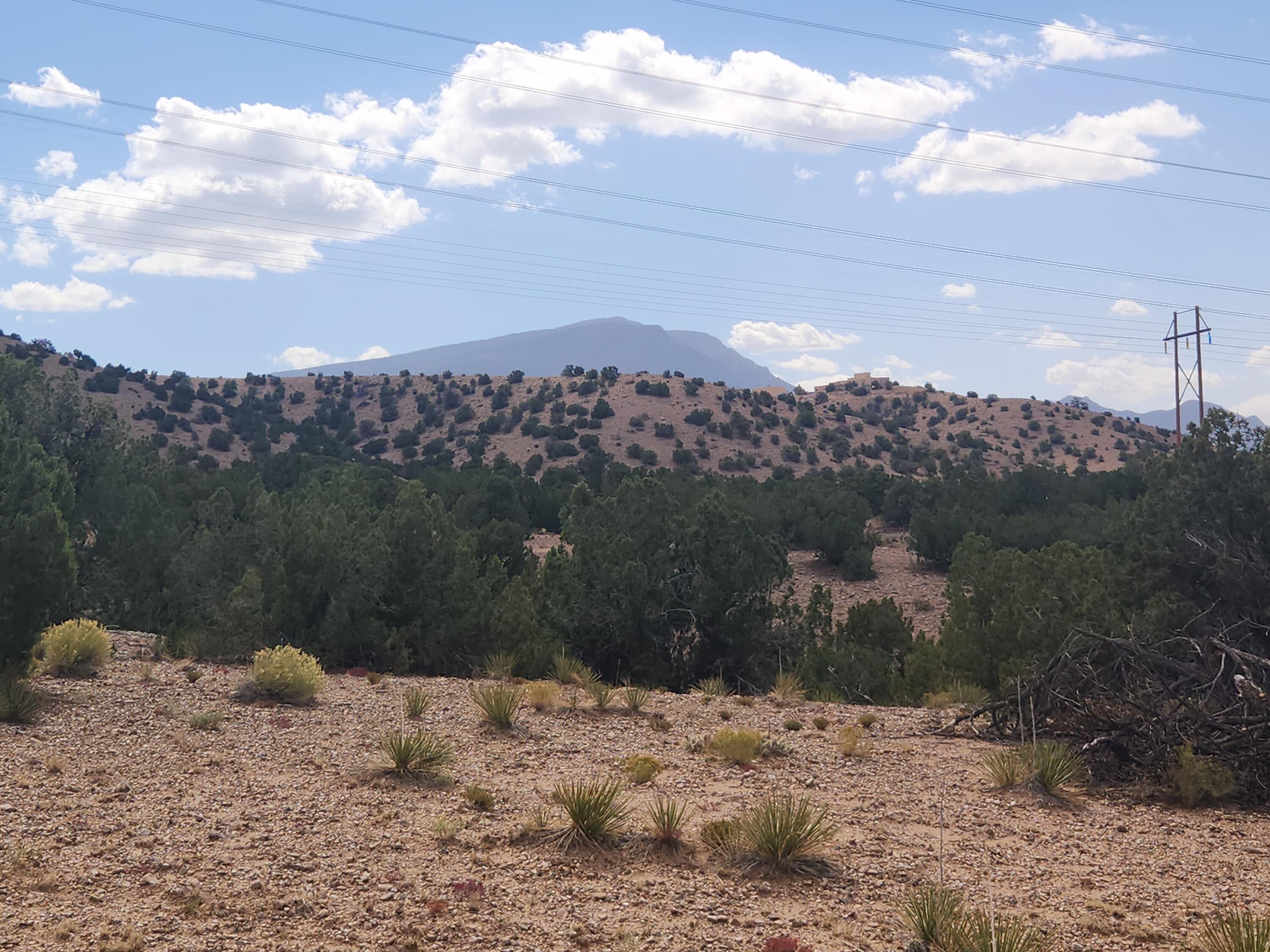 Palomar Road - Lot 16, Placitas, New Mexico image 1