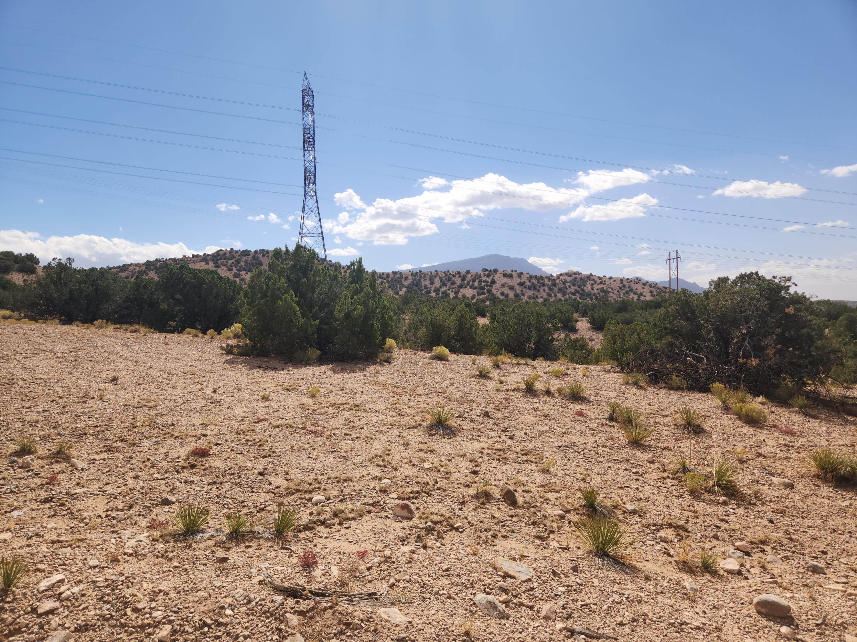 Palomar Road - Lot 16, Placitas, New Mexico image 17