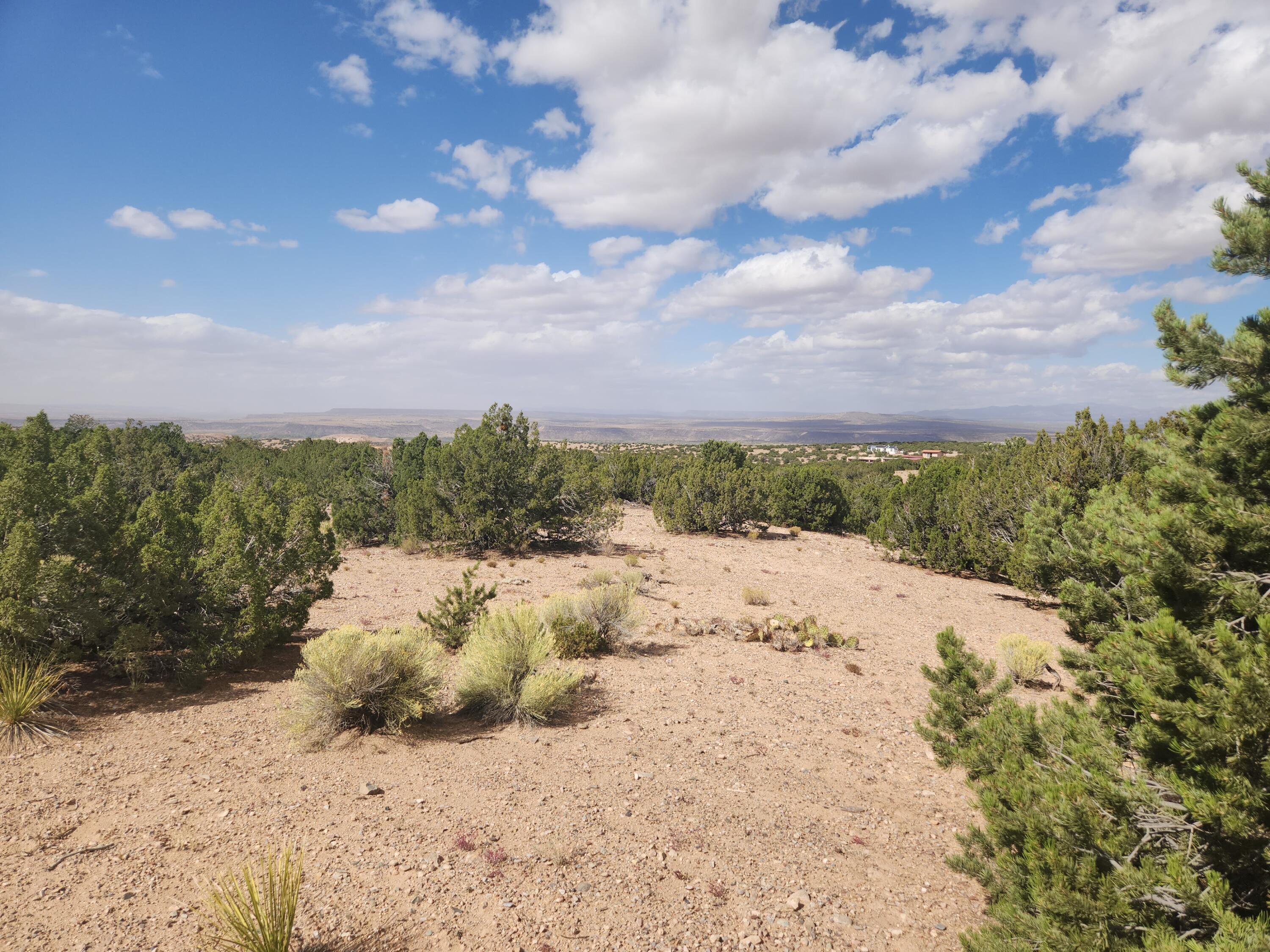 Palomar Road - Lot 16, Placitas, New Mexico image 20