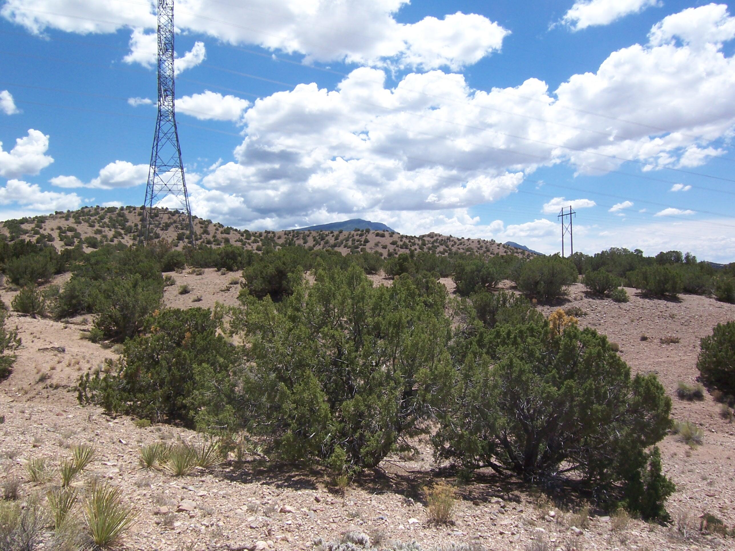 Palomar Road - Lot 16, Placitas, New Mexico image 10