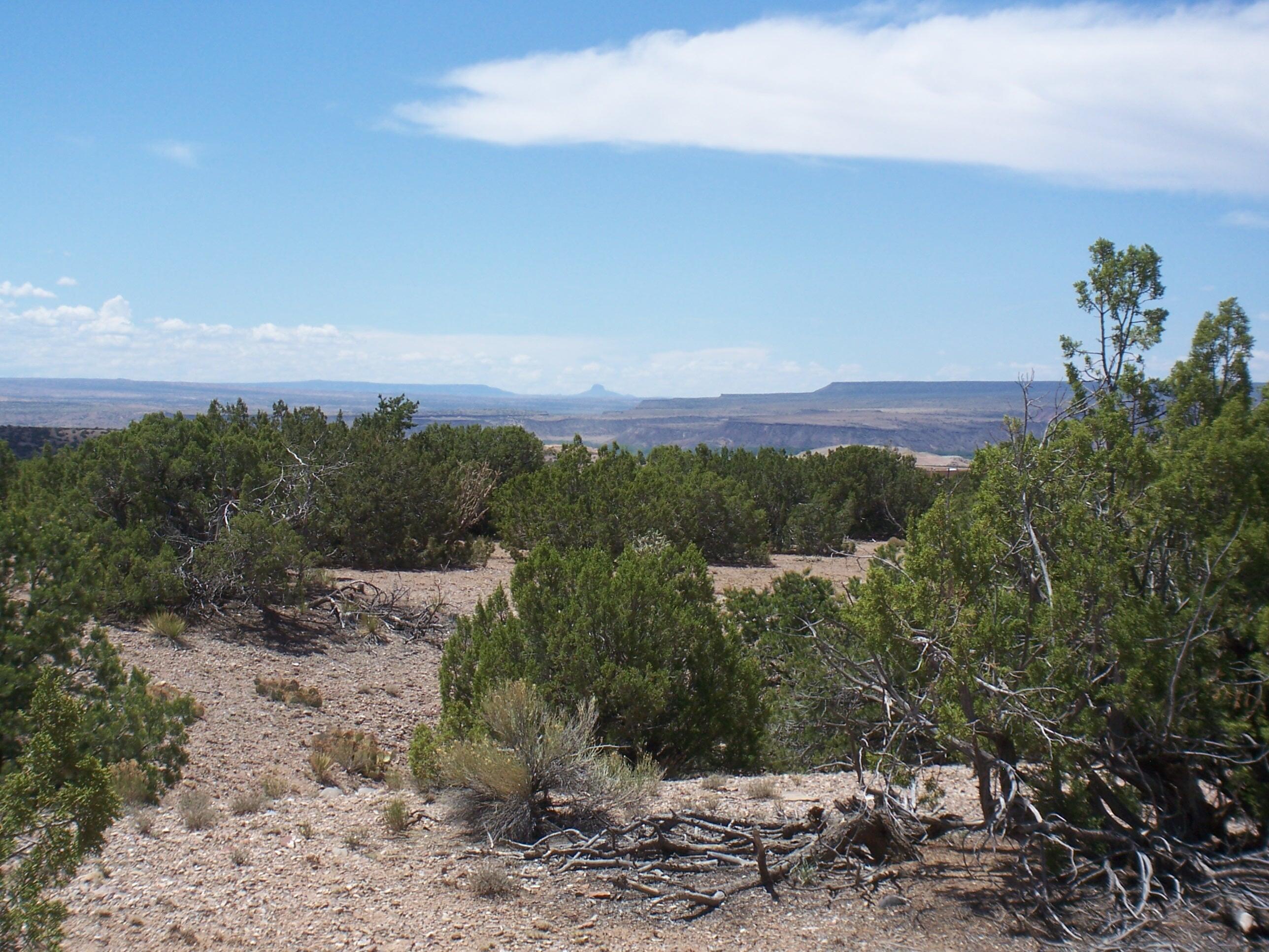 Palomar Road - Lot 16, Placitas, New Mexico image 2