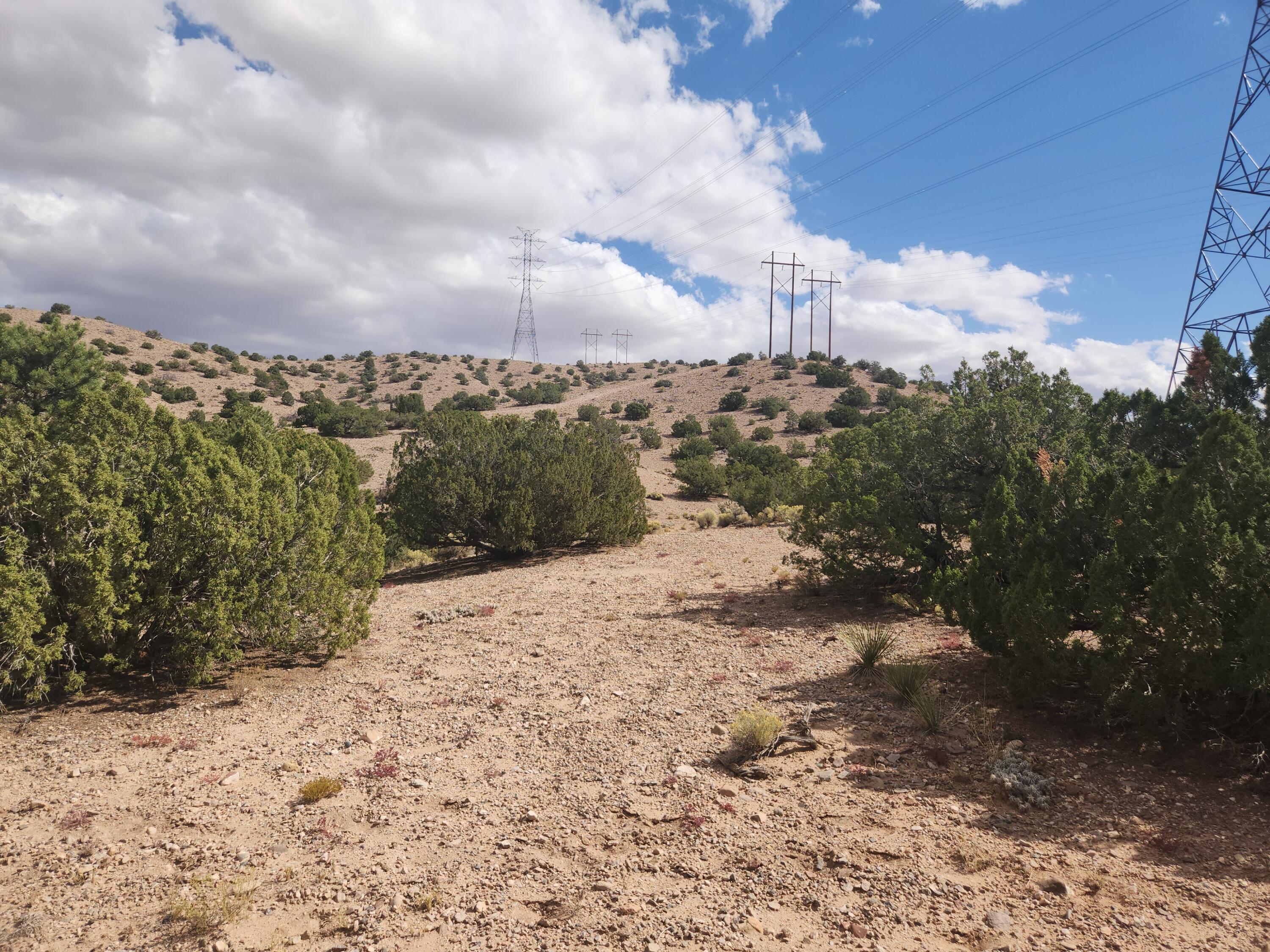 Palomar Road - Lot 16, Placitas, New Mexico image 22