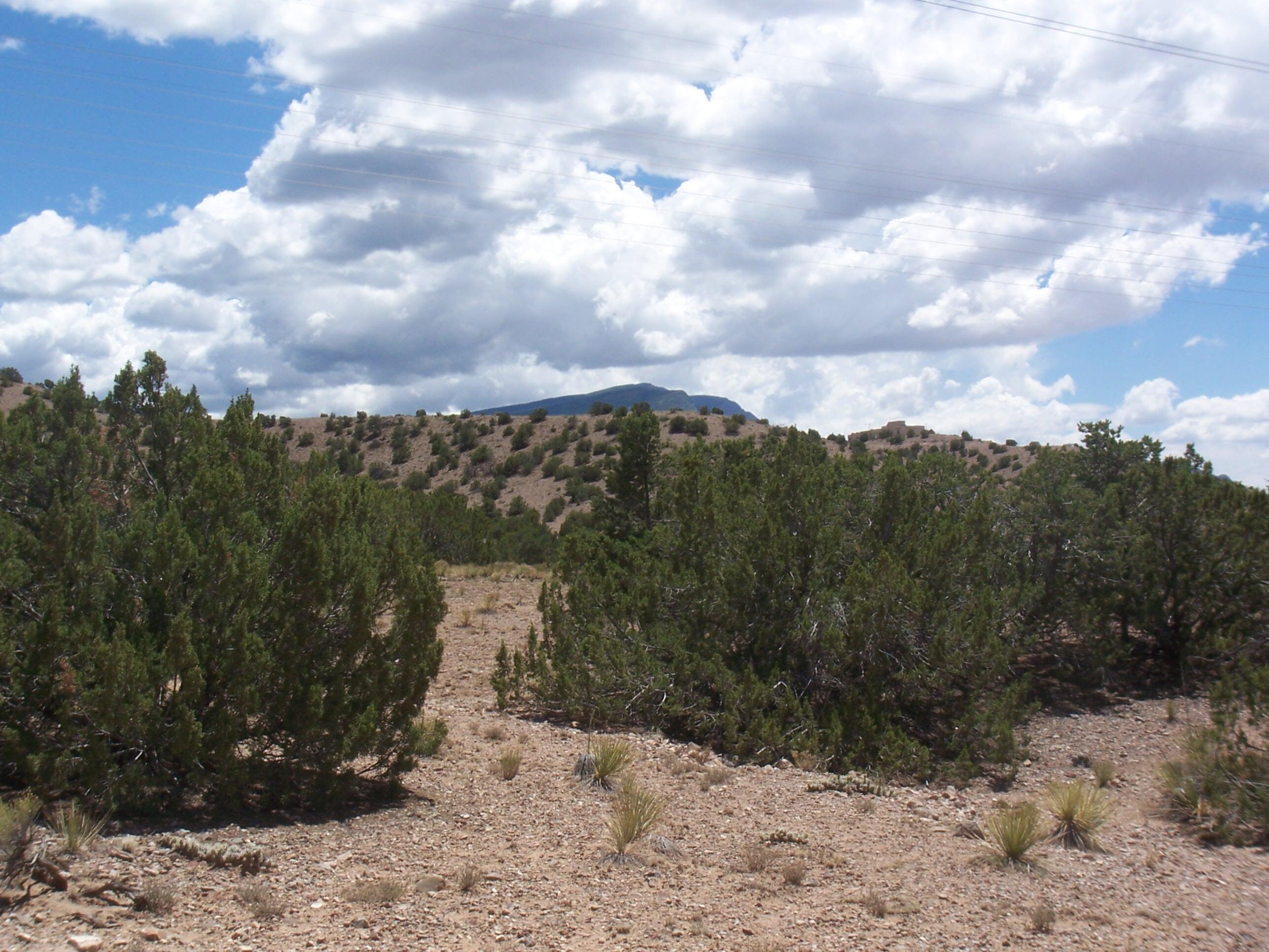 Palomar Road - Lot 16, Placitas, New Mexico image 12