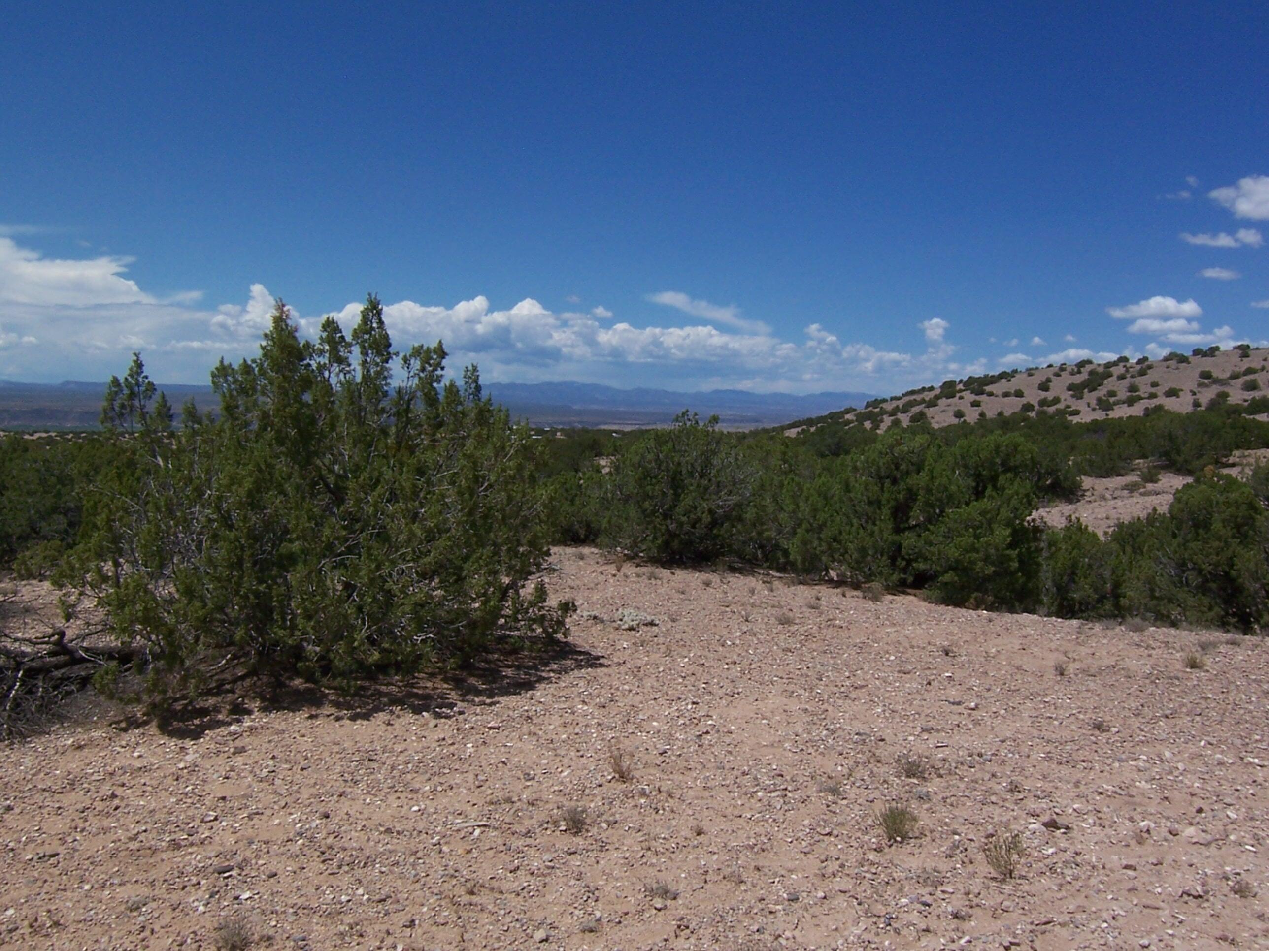 Palomar Road - Lot 16, Placitas, New Mexico image 15