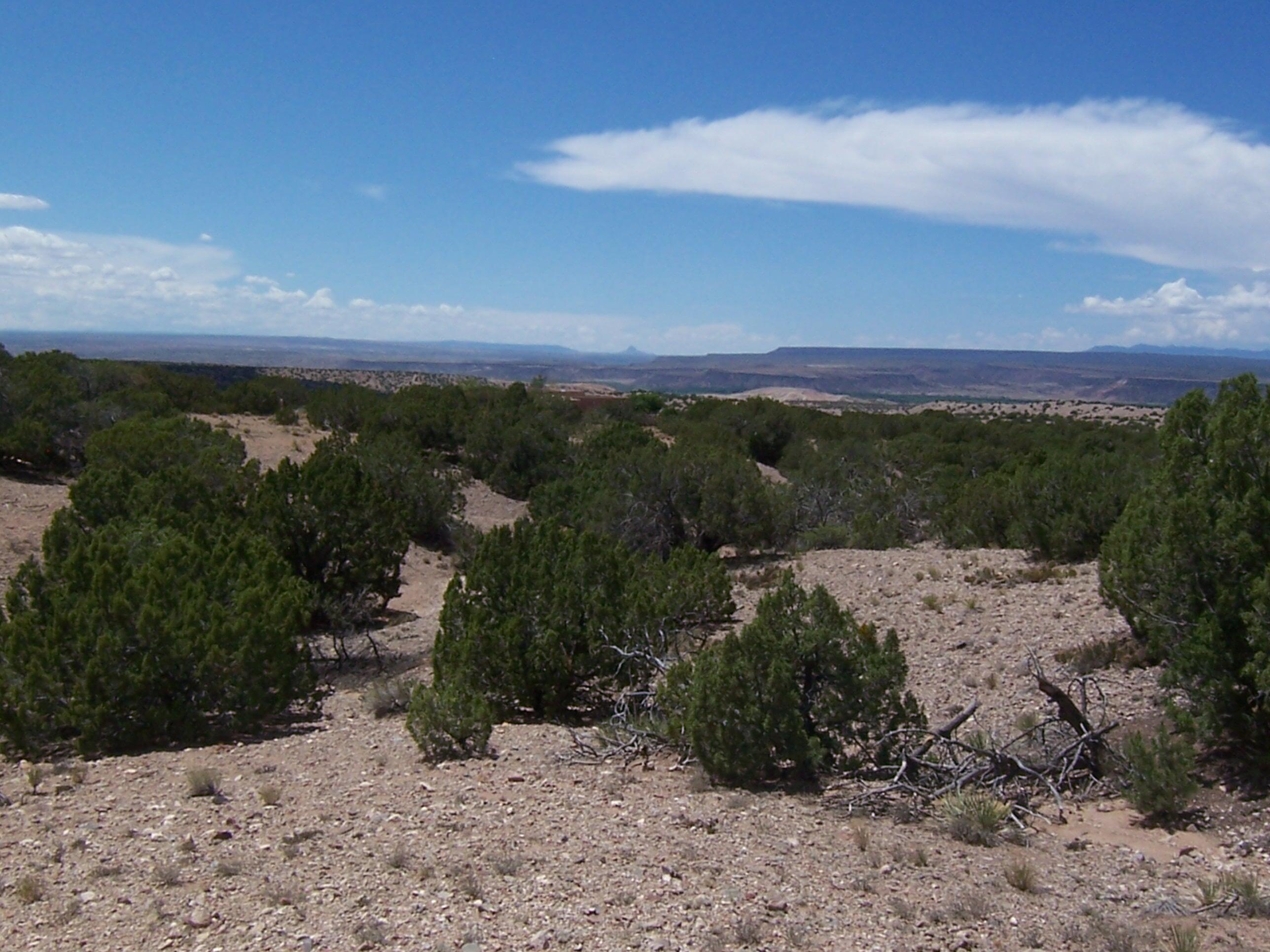 Palomar Road - Lot 16, Placitas, New Mexico image 11