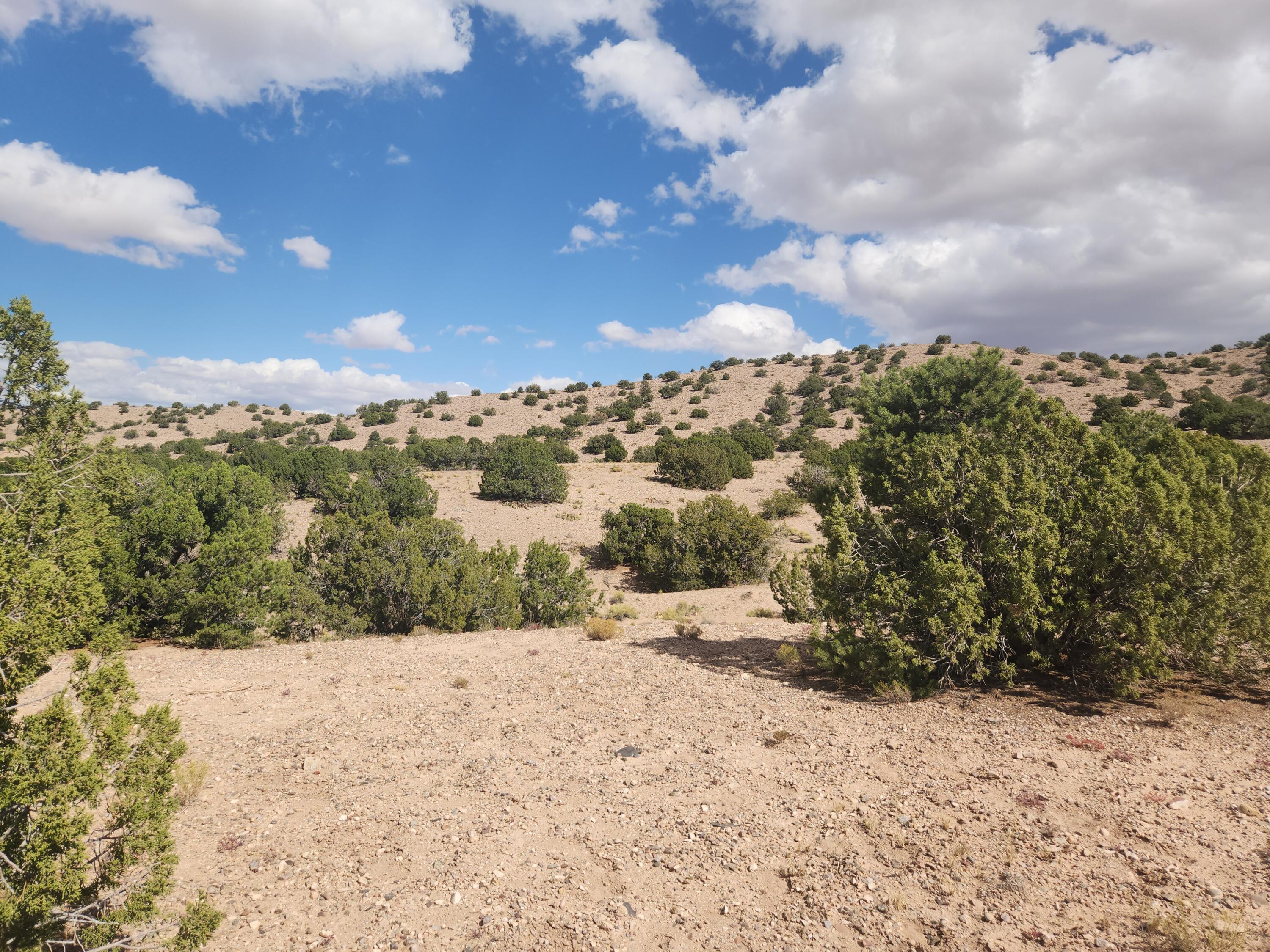 Palomar Road - Lot 16, Placitas, New Mexico image 18