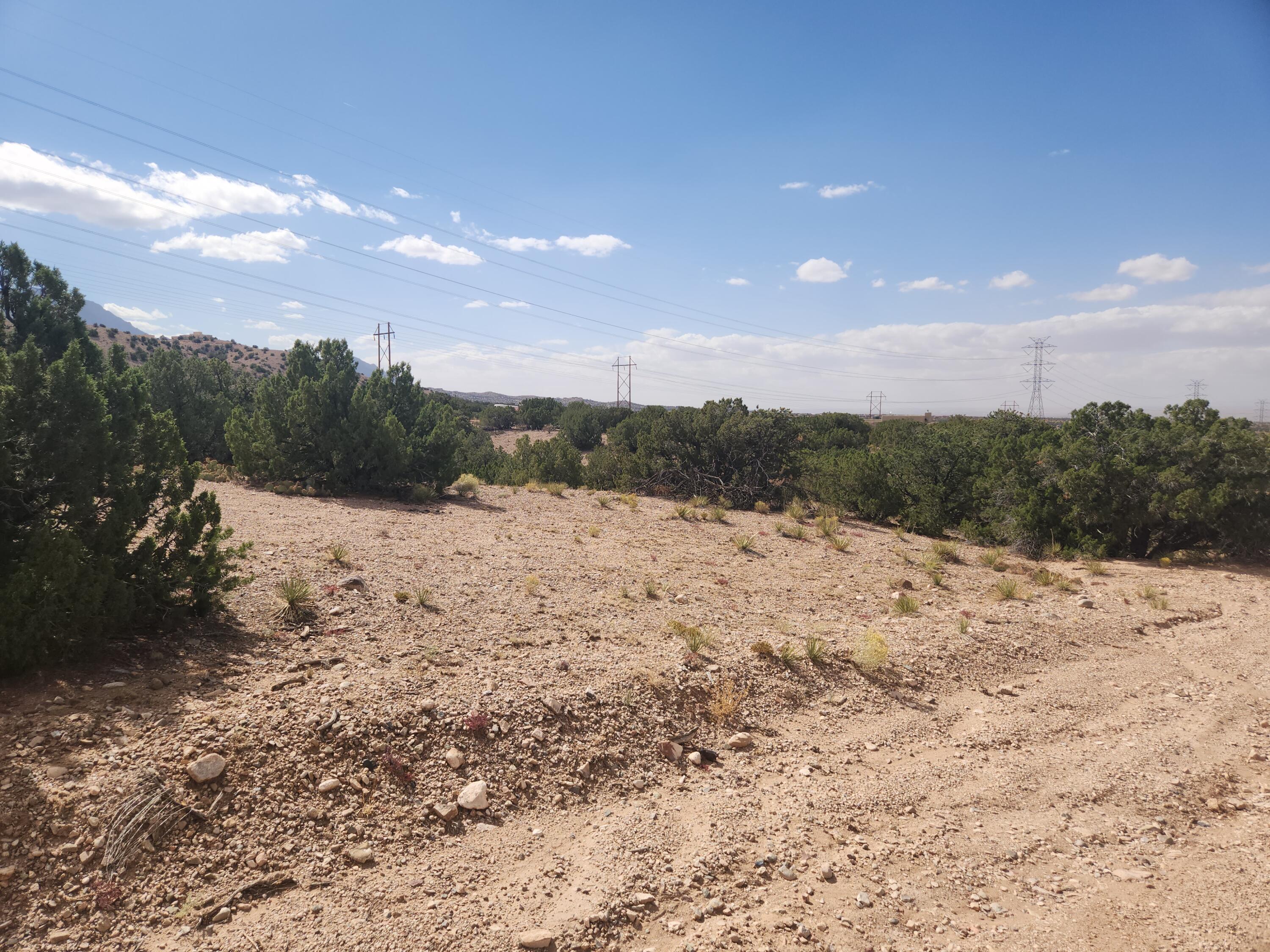 Palomar Road - Lot 16, Placitas, New Mexico image 8