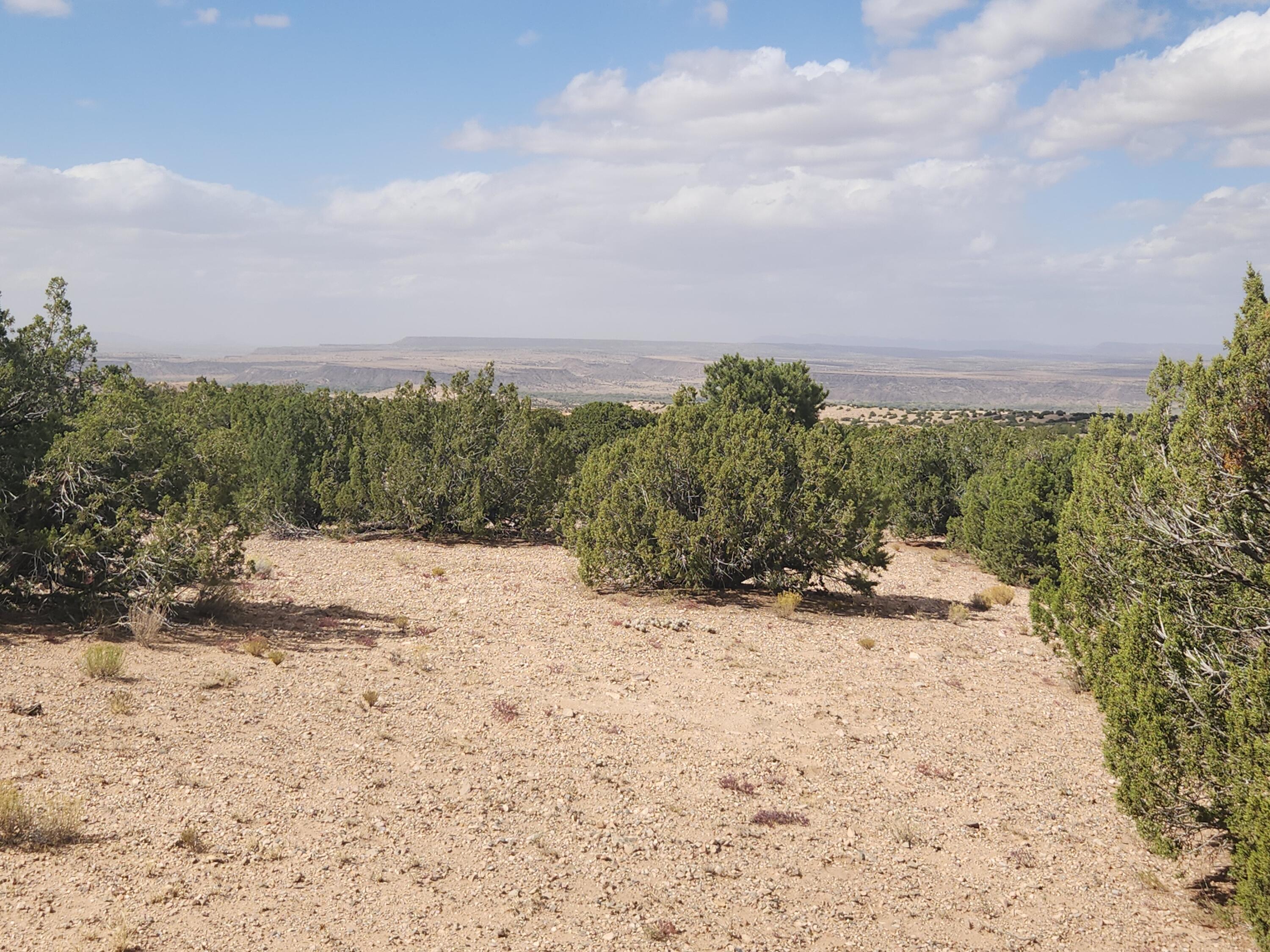 Palomar Road - Lot 16, Placitas, New Mexico image 7