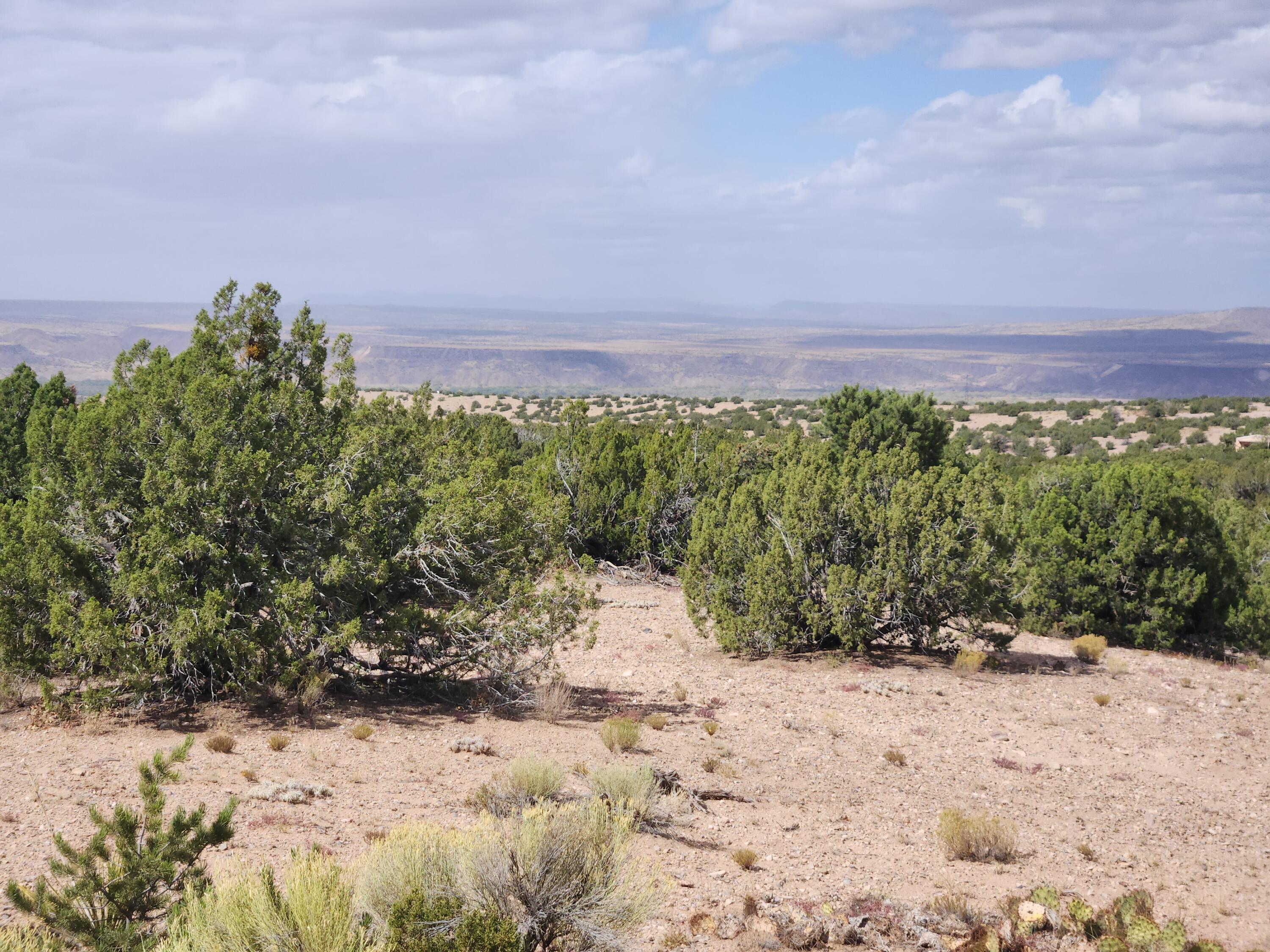 Palomar Road - Lot 16, Placitas, New Mexico image 5