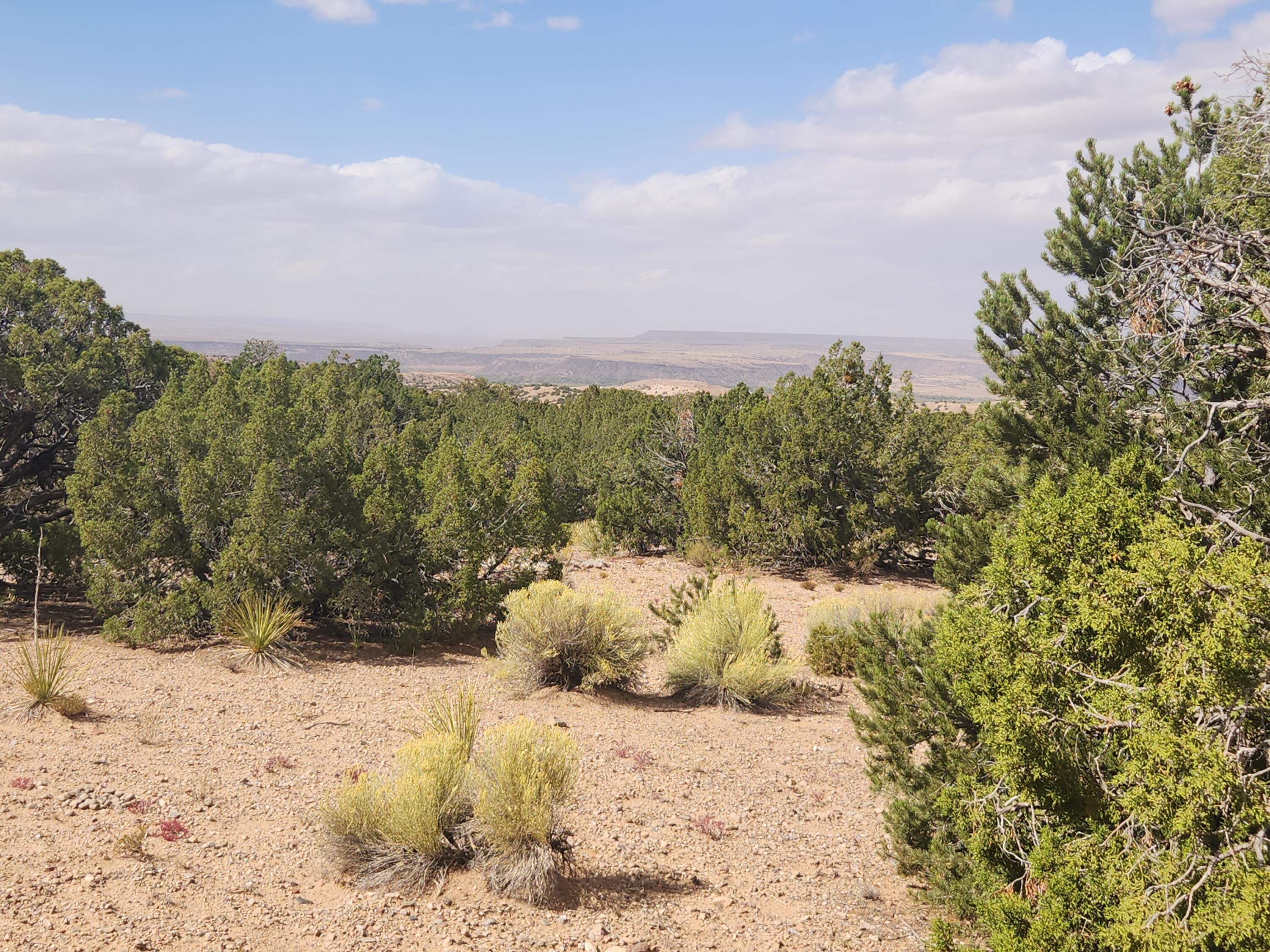 Palomar Road - Lot 16, Placitas, New Mexico image 21