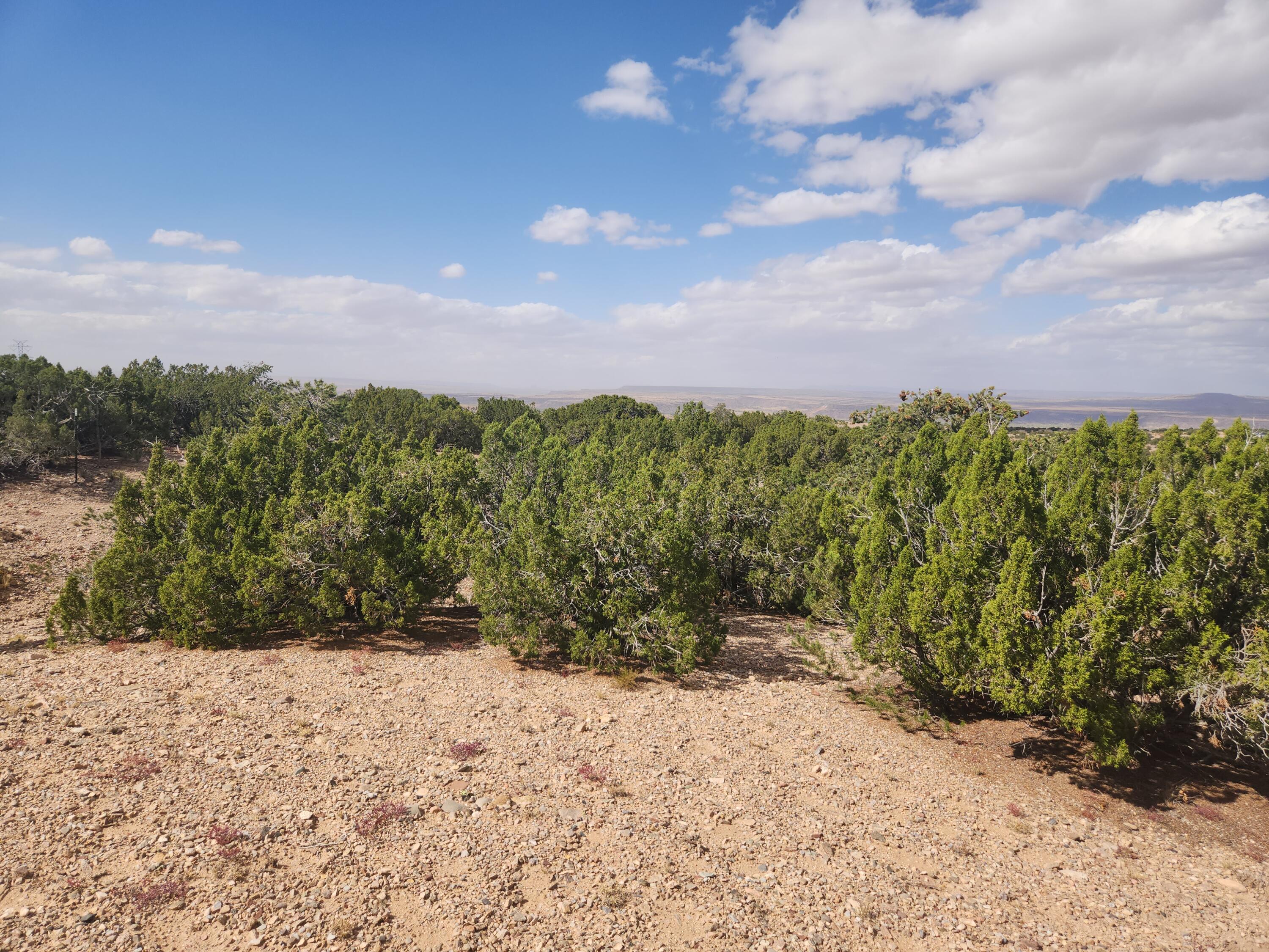 Palomar Road - Lot 16, Placitas, New Mexico image 13