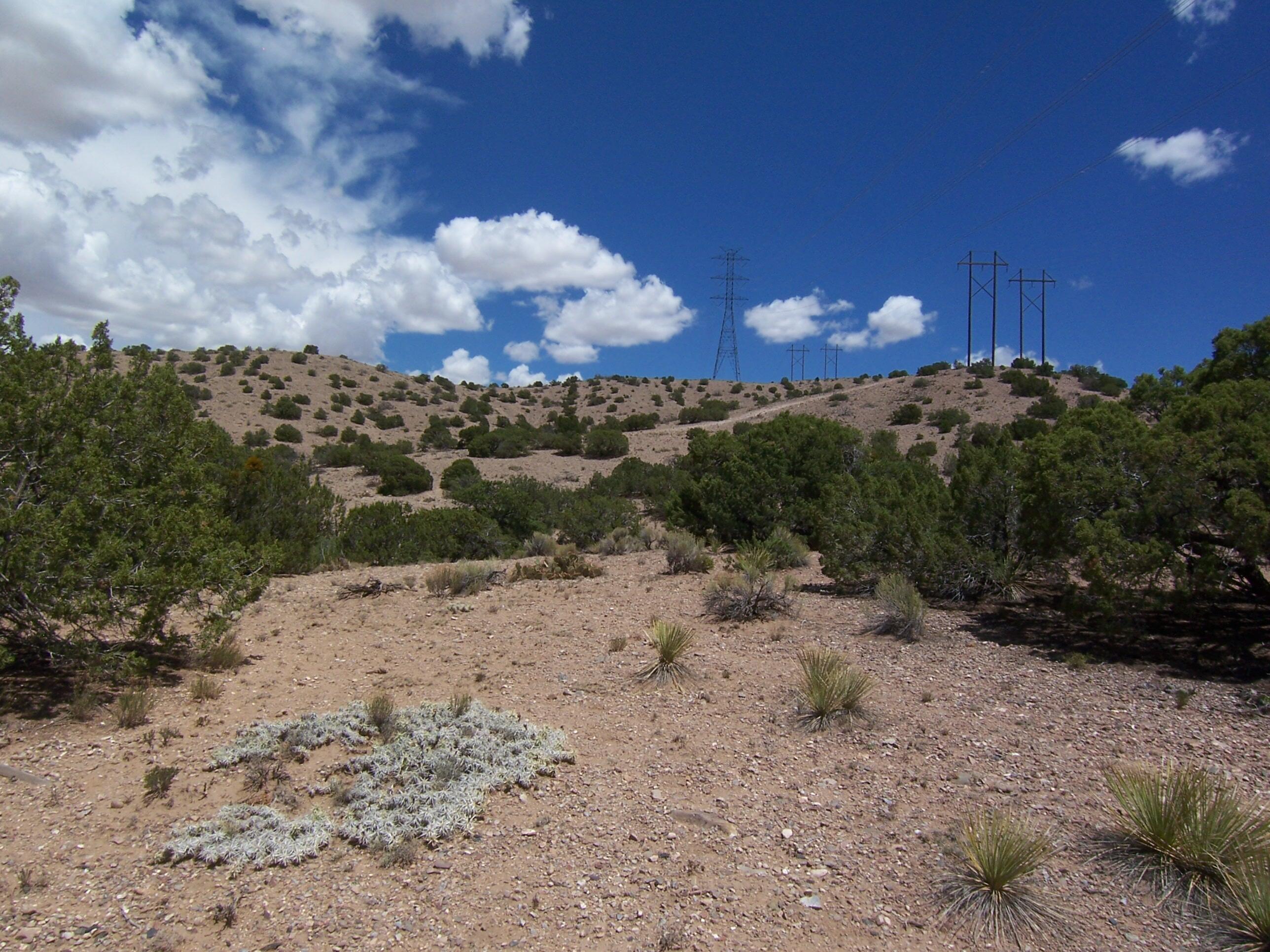 Palomar Road - Lot 16, Placitas, New Mexico image 16