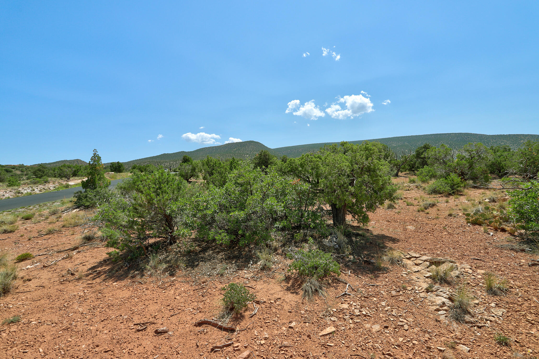 100 S. Wild Primrose Road, Placitas, New Mexico image 10