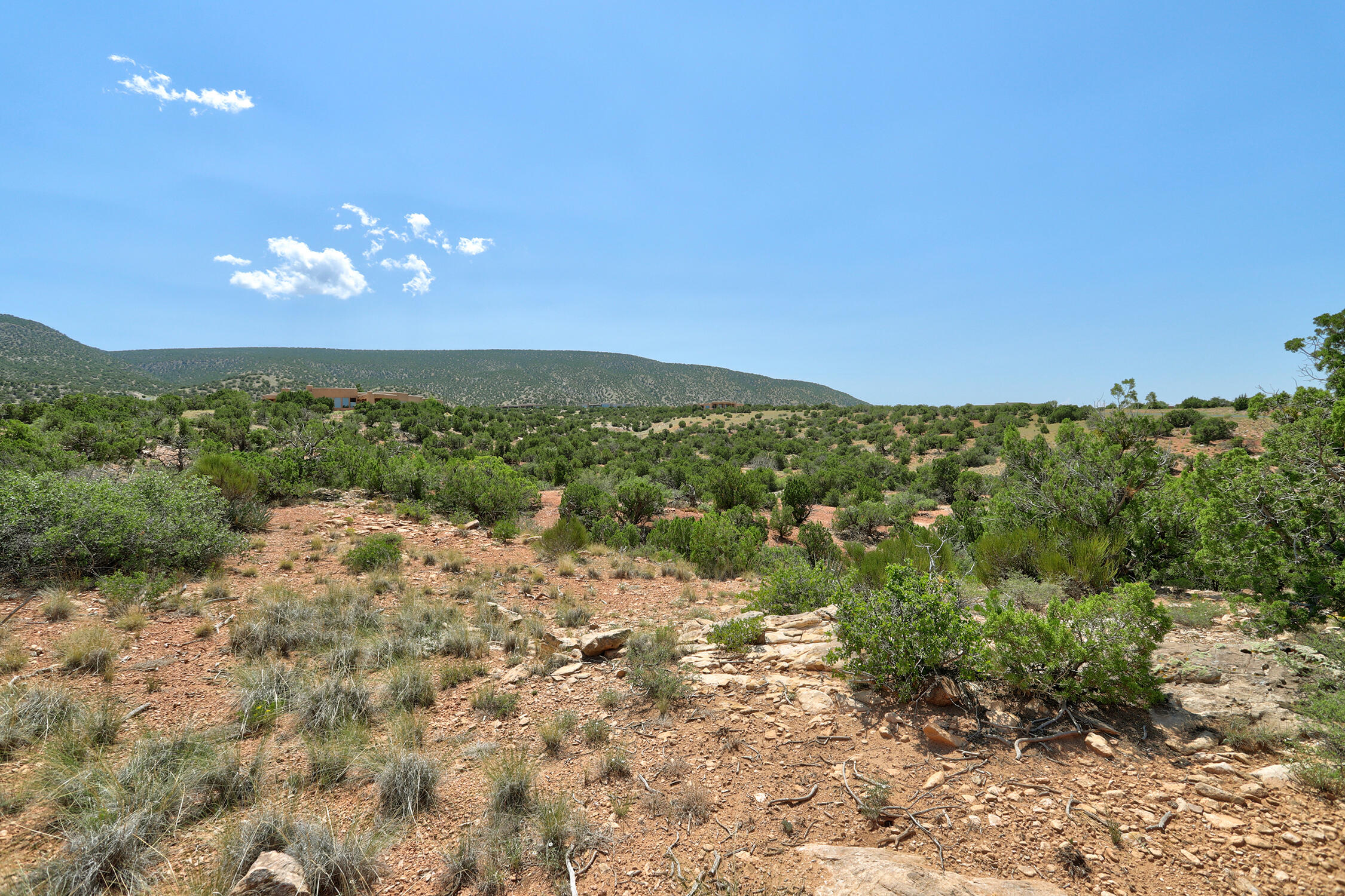 100 S. Wild Primrose Road, Placitas, New Mexico image 40