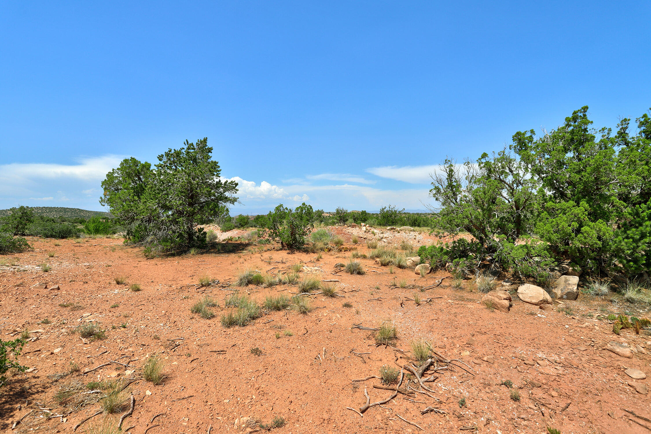 100 S. Wild Primrose Road, Placitas, New Mexico image 6