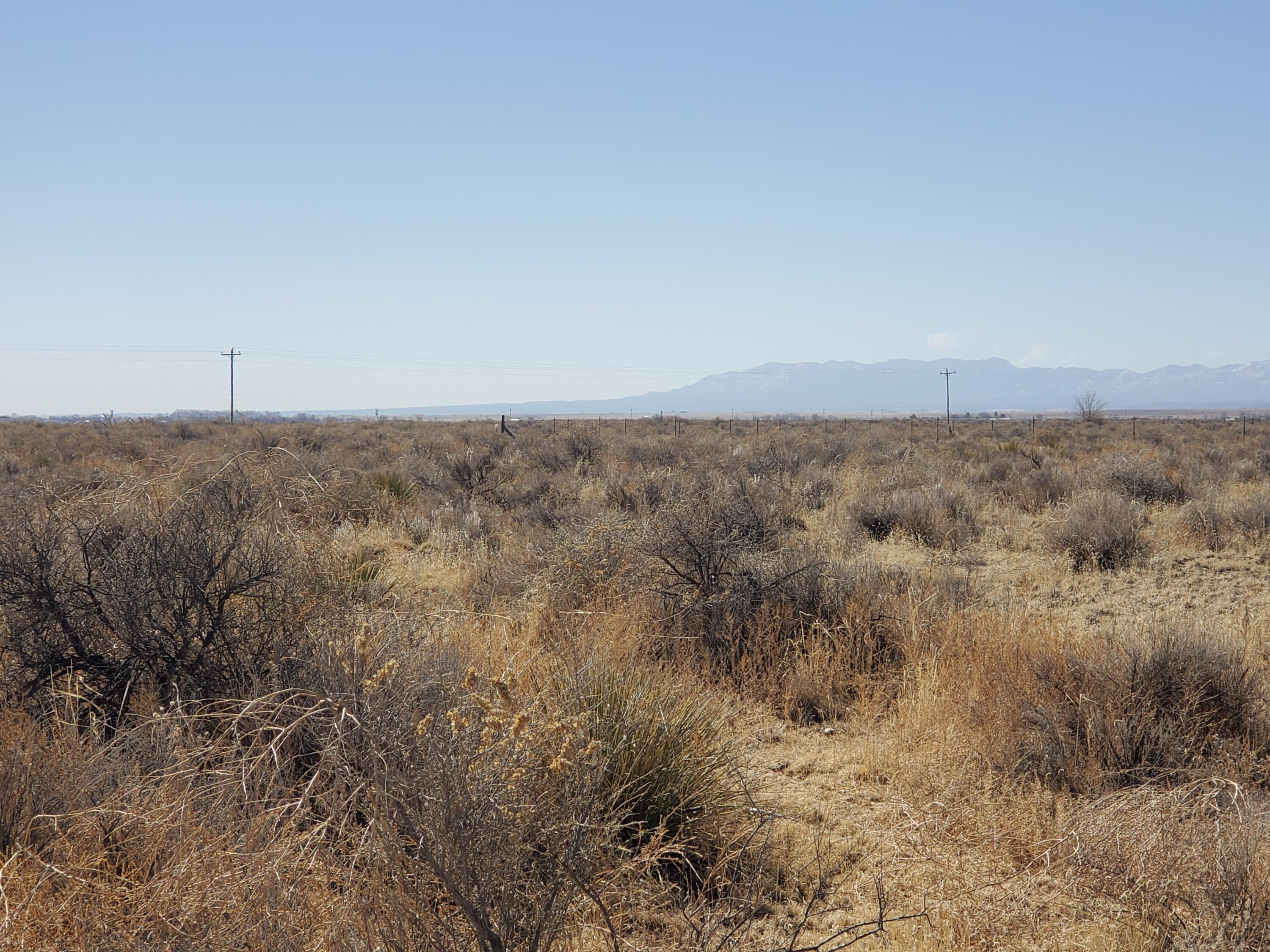 Periwinkle Lane, McIntosh, New Mexico image 1