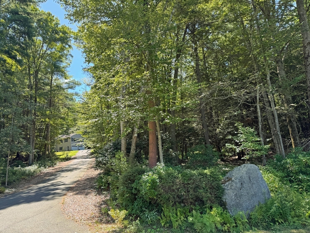 151 Mormon Hollow Road