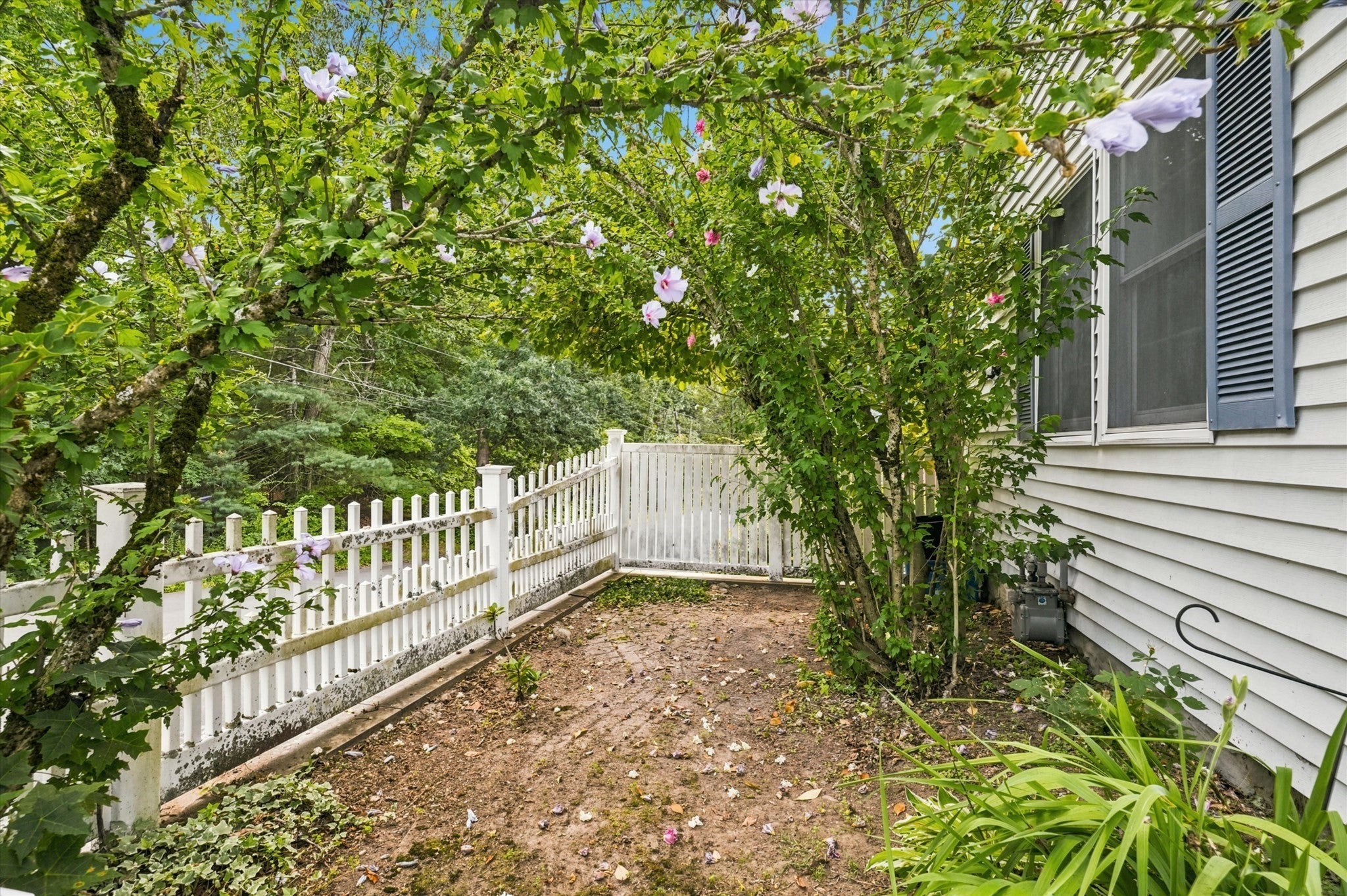 58 Morton St, Andover, MA Photo #3