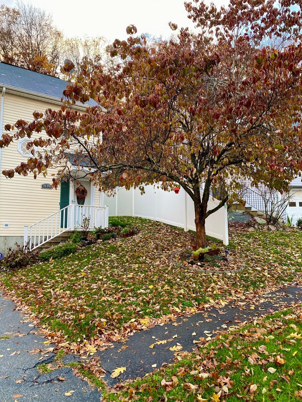 11 Jonathan Circle, Worcester, MA, 11 Jonathan Circle, Worcester, MA Photo #38